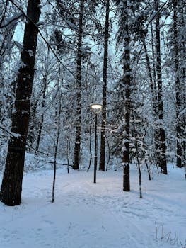 Serene winter forest scene with snow-covered trees and a glowing lamp post.