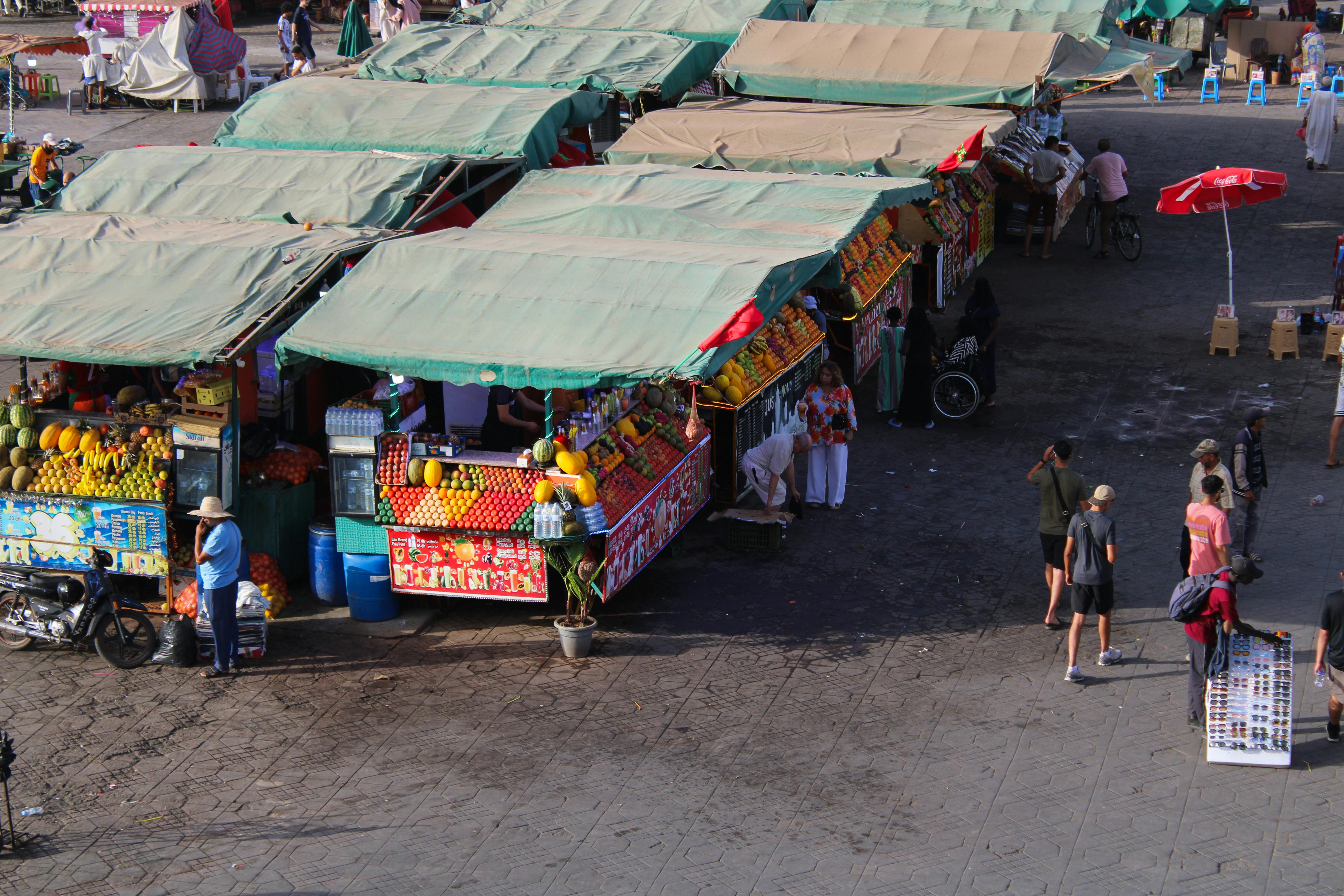 Morocco Represents 740 Majority-Women Local Farmers at 62nd International Paris Agriculture Expo - Morocco World News