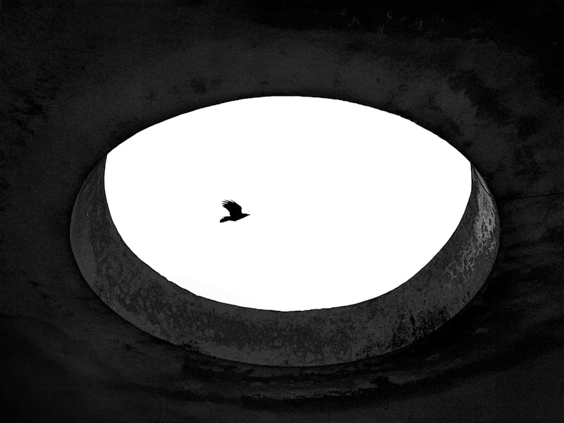 Jubayer Bin Azad Arin