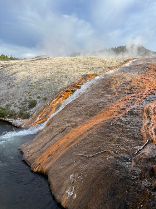 Free Steam rises from geothermal runoff flowing into a river in Yellowstone. Stock Photo