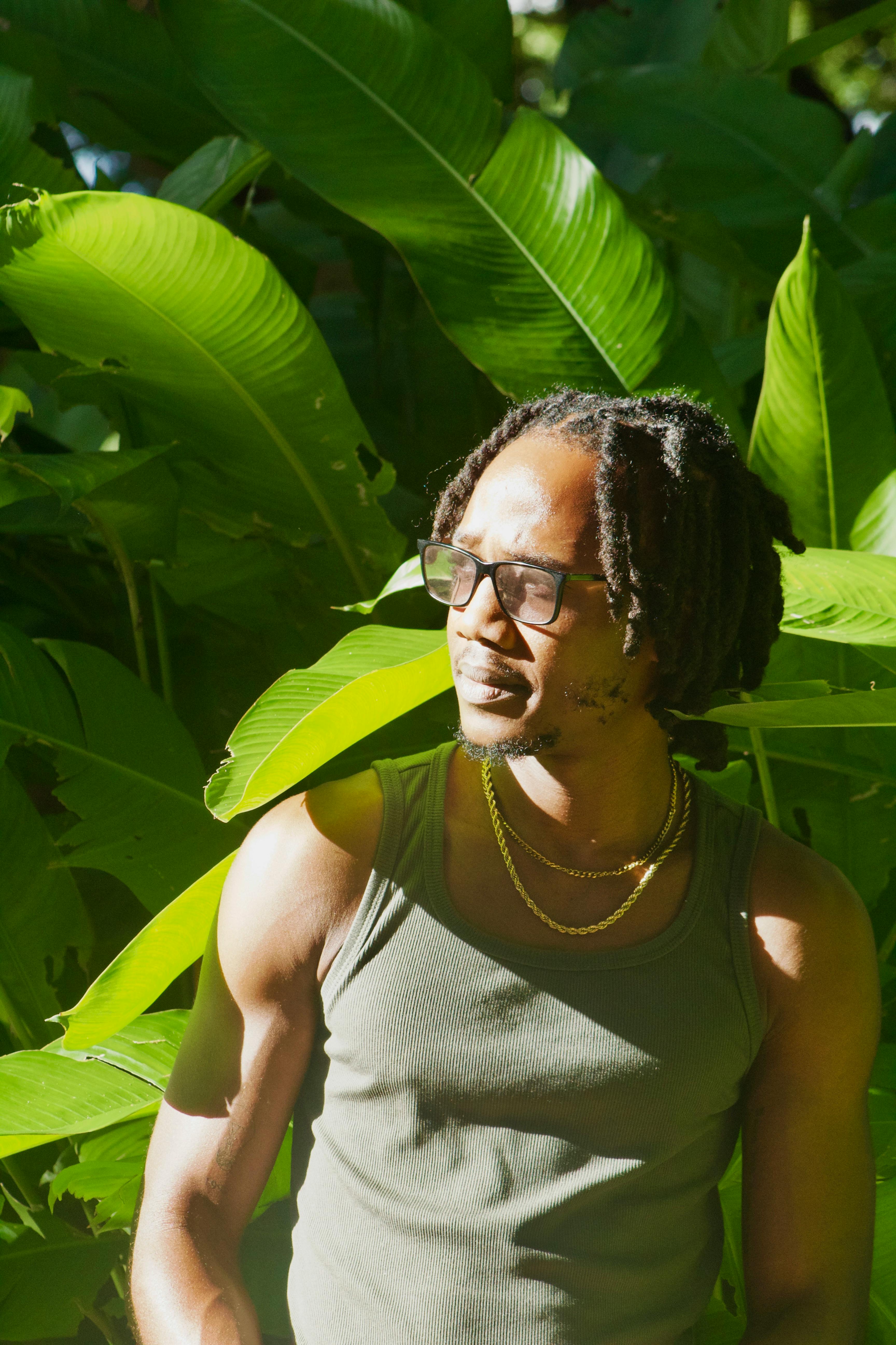 De franc Home amb rastes i ulleres envoltat de fulles verdes vibrants a la llum del sol. Foto d'estoc