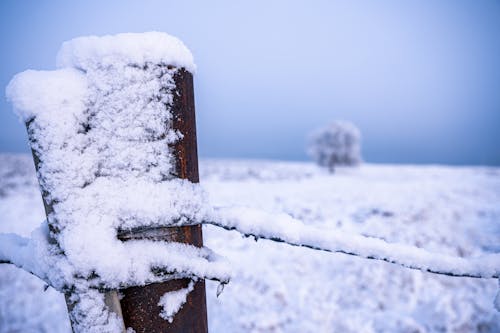 Free Коричневый деревянный забор, покрытый снегом Stock Photo
