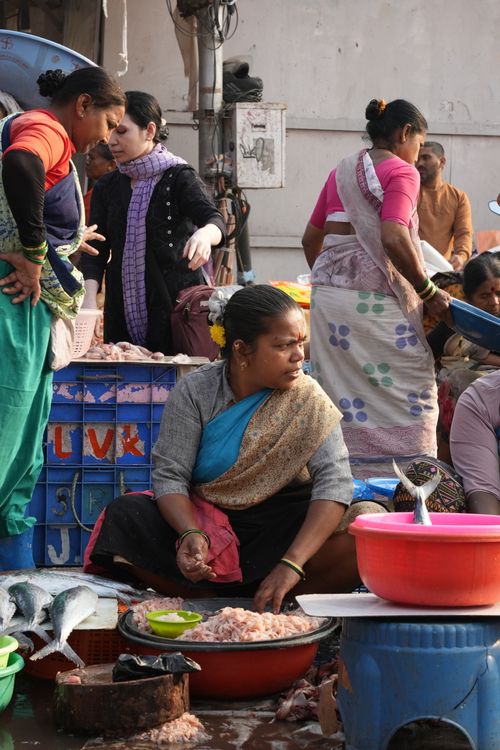 Free A vibrant fish market in India with women selling seafood and engaging in lively trading. Stock Photo