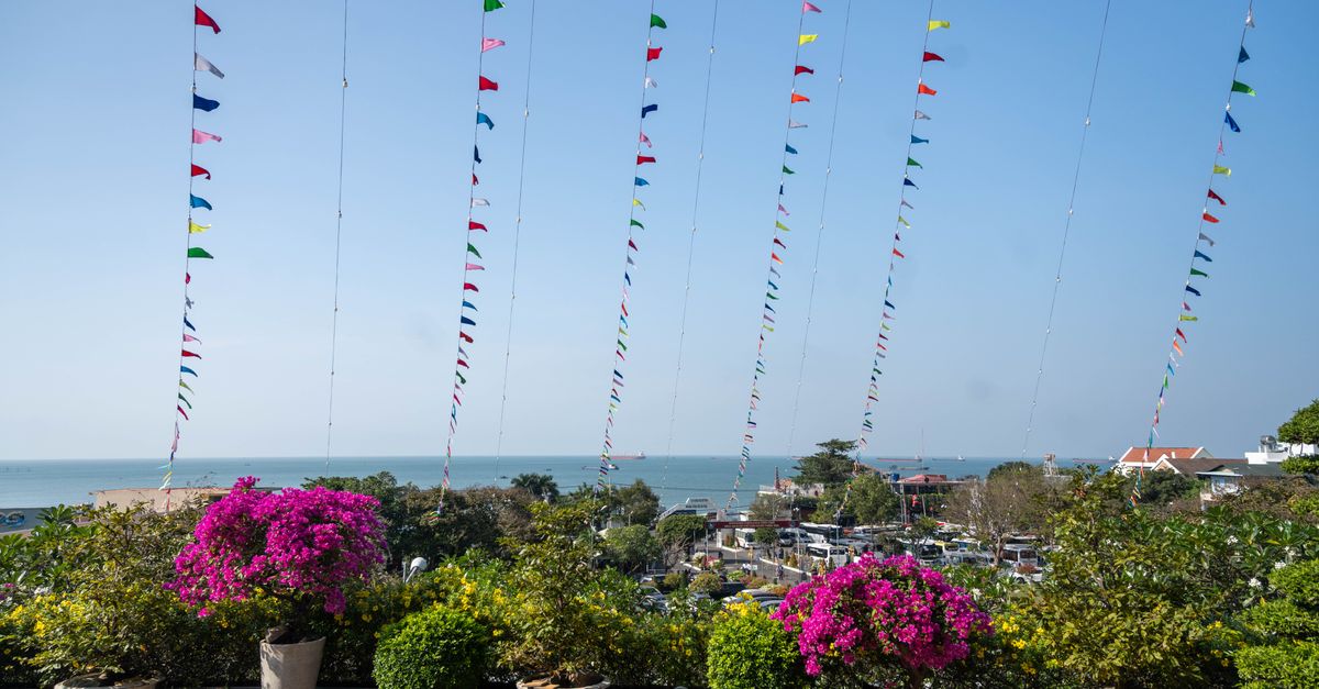 Vibrant flags and blooming flowers overlooking the waterfront in Vũng Tàu, Vietnam.