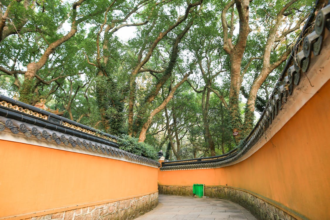 Free stock photo of Putuo Mountain