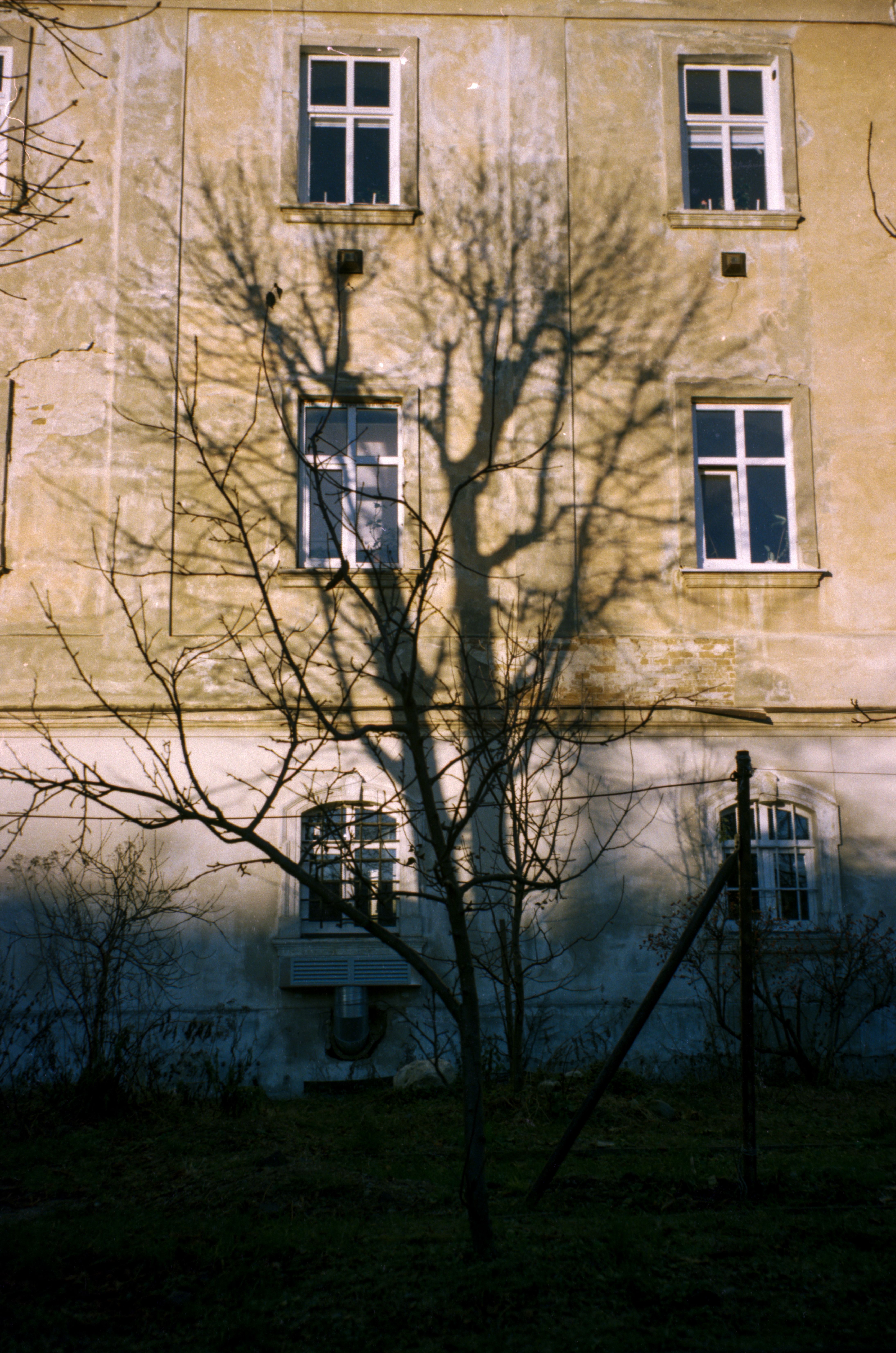 Shadow of a Tree on Historical Building in Lviv · Free Stock Photo