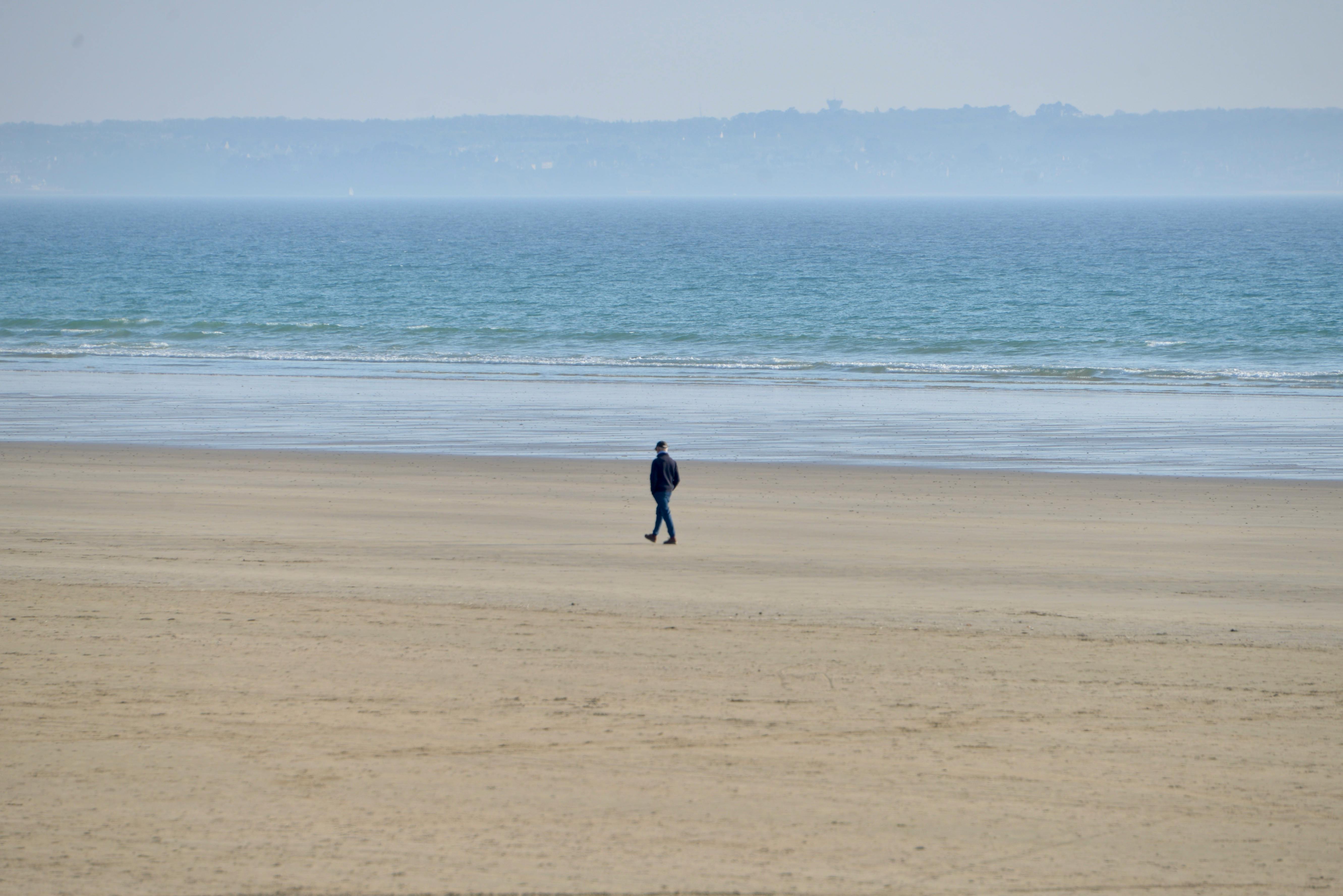 Wind In The Forest Sujiva Poems Poetry