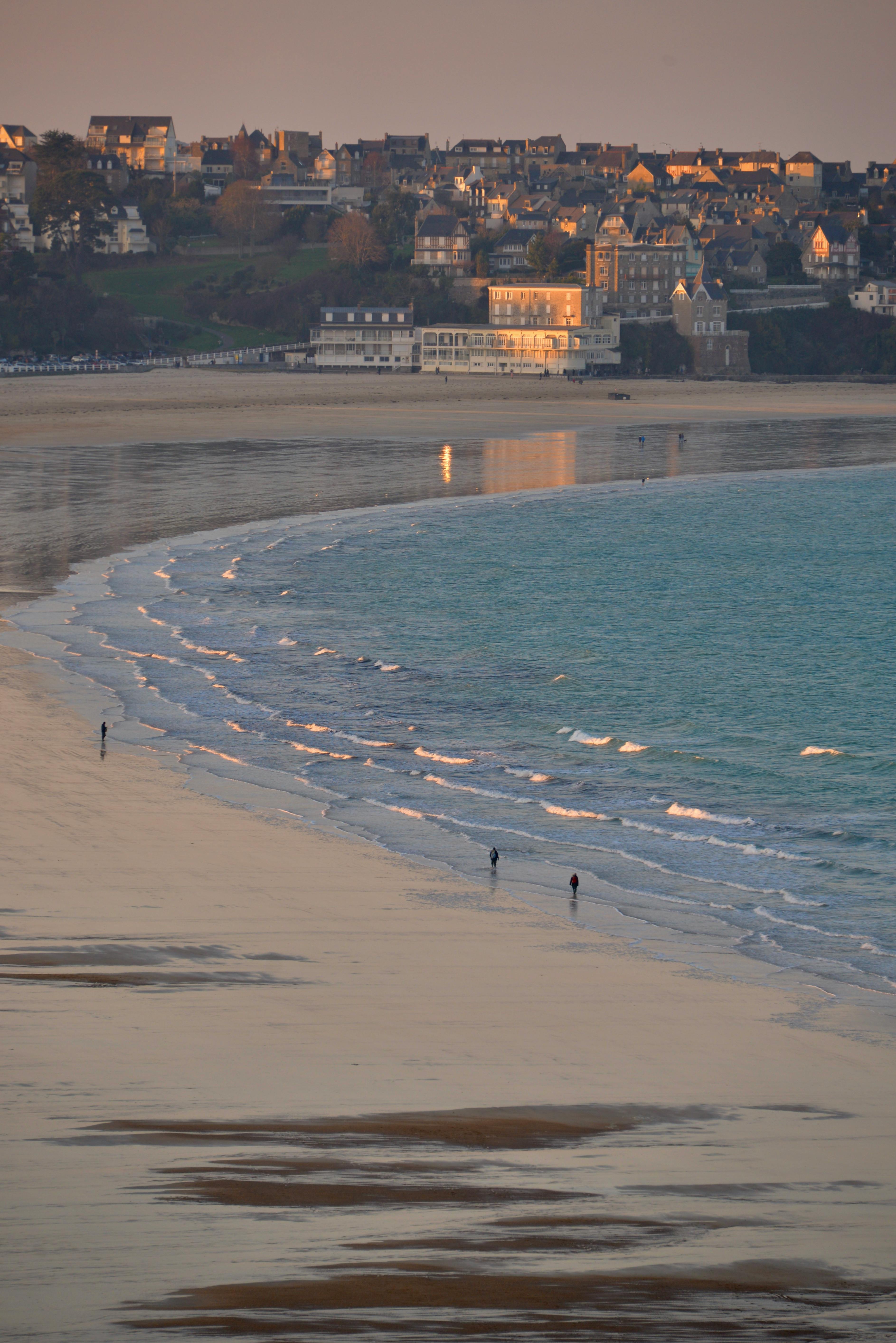 Wind In The Forest Sujiva Poems Poetry