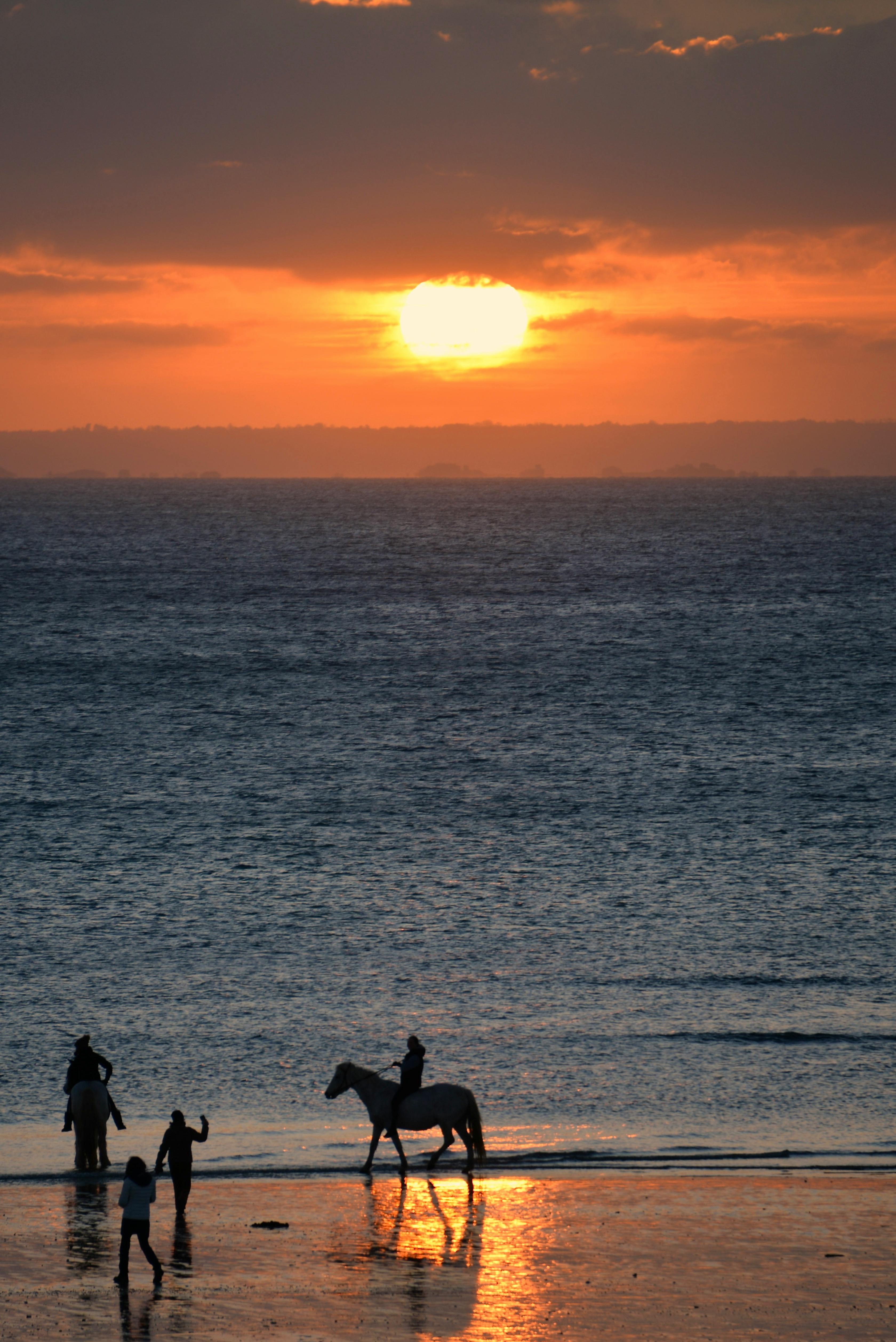 Wind In The Forest Sujiva Poems Poetry