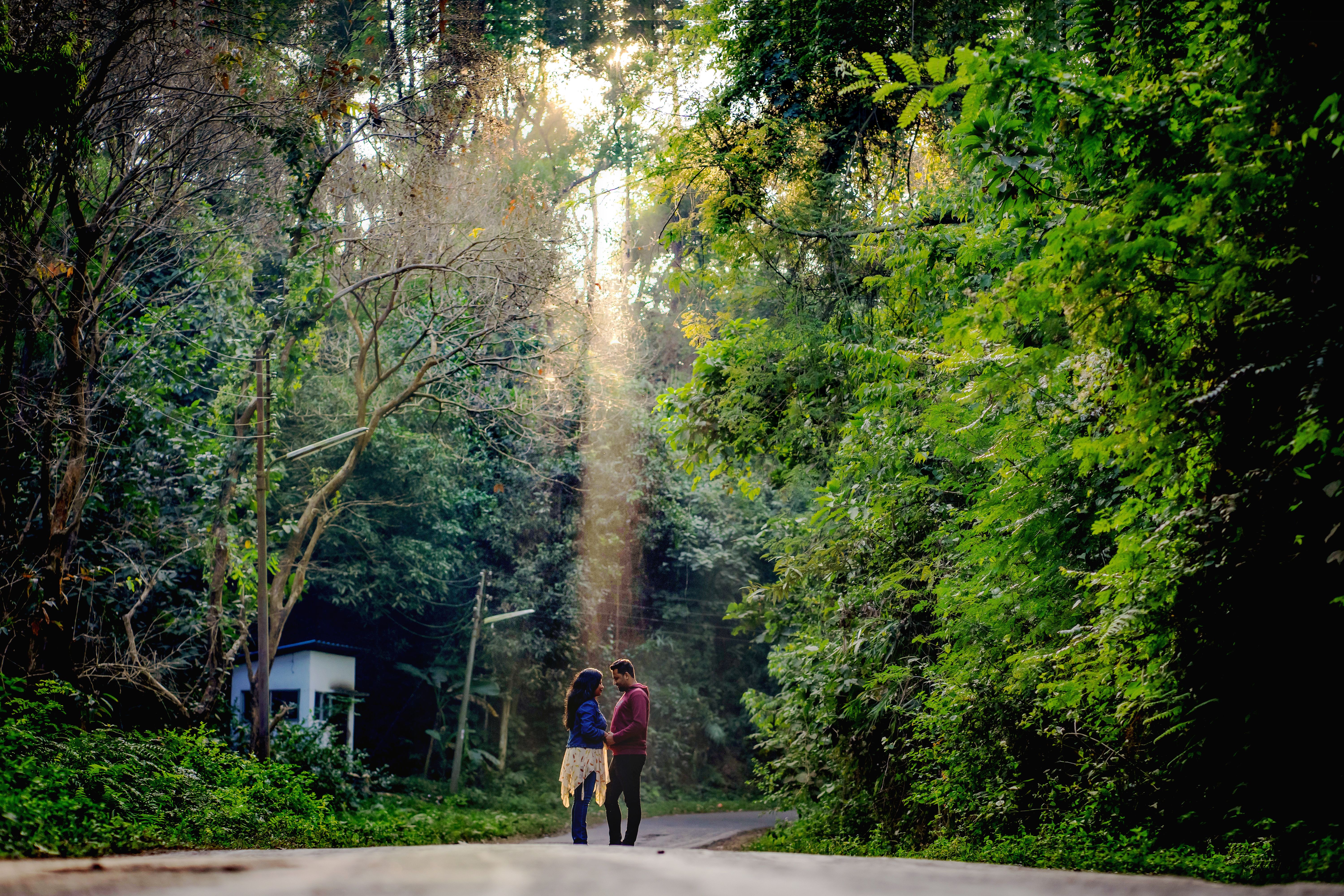 Romantic Couple Stroll in Sunlit Forest Path · Free Stock Photo