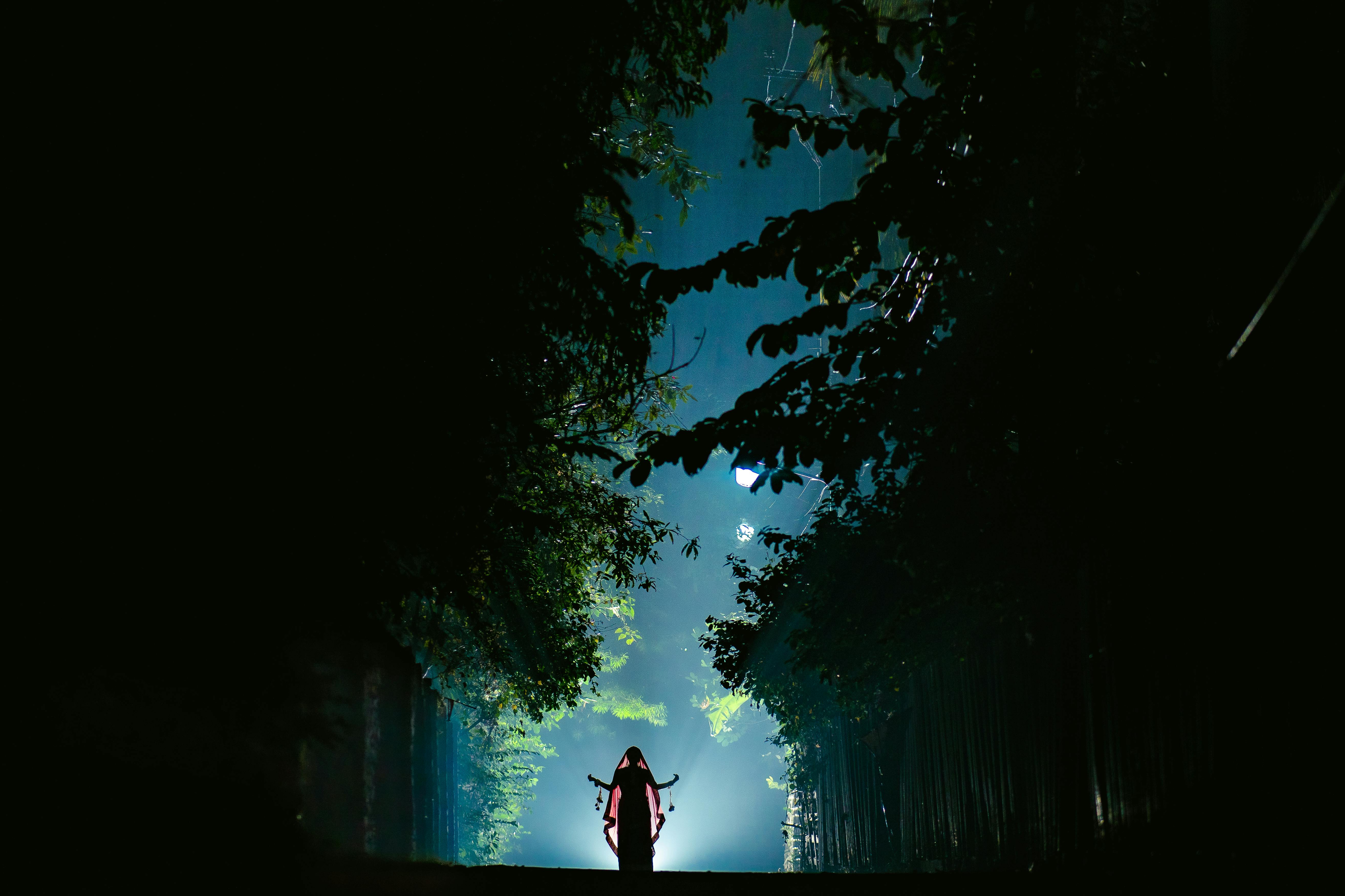 grátis Uma figura solitária, silhuetada numa trilha escura na floresta sob uma iluminação dramática, cria uma atmosfera mística. Foto profissional