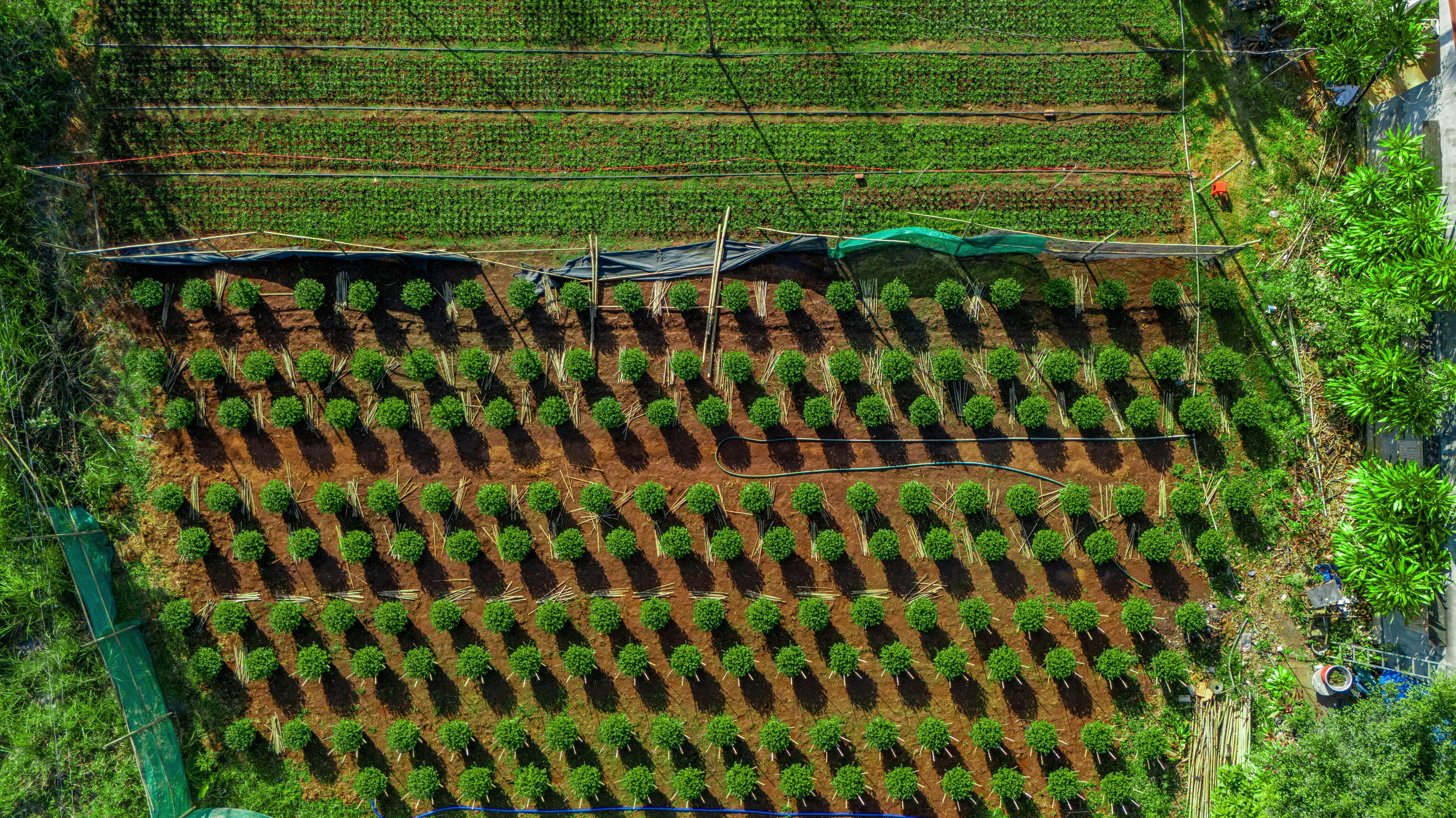 Niche Pastimes That Unlock Your Full Potential