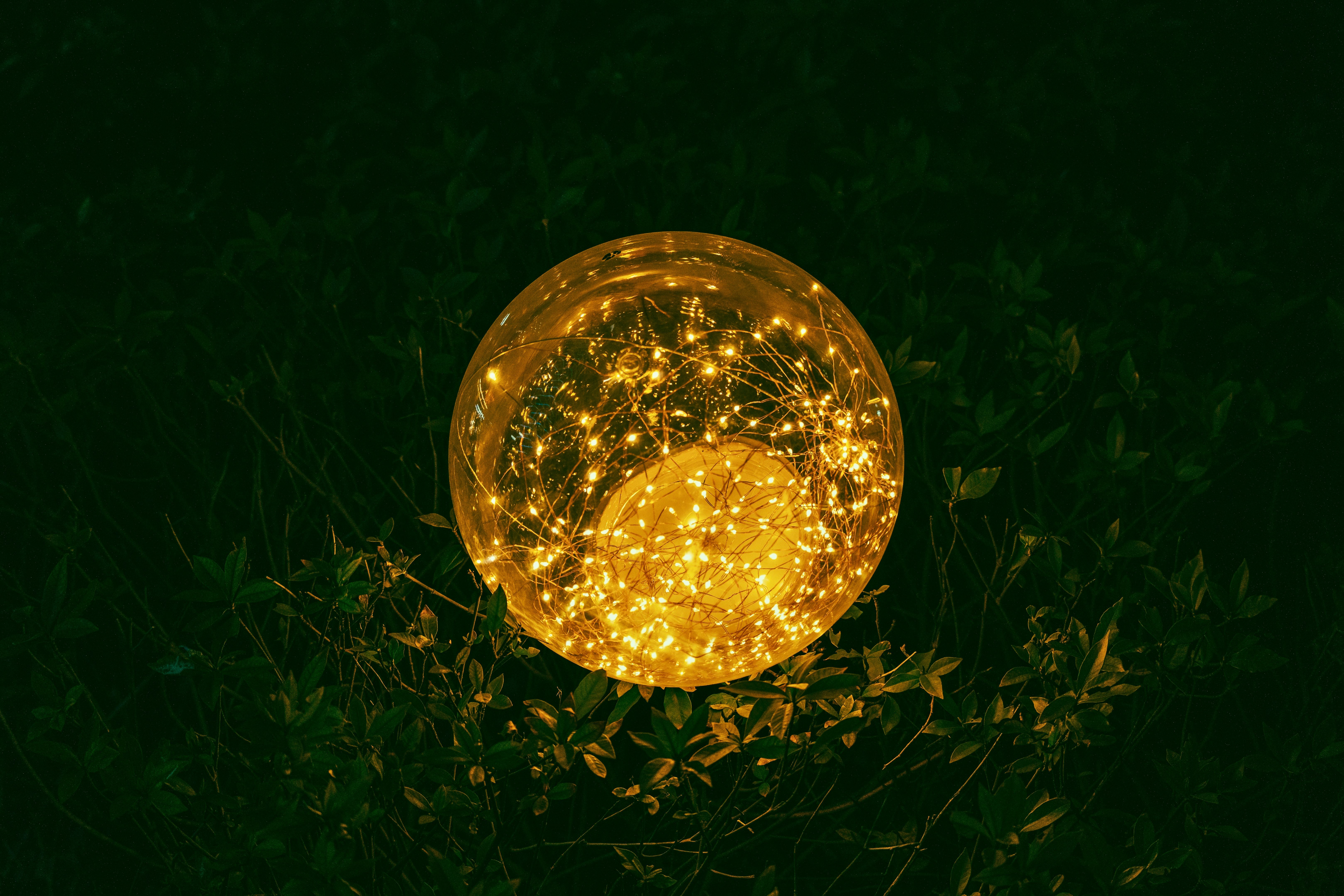 A glowing spherical light interacts with dark green foliage, creating a magical ambiance.