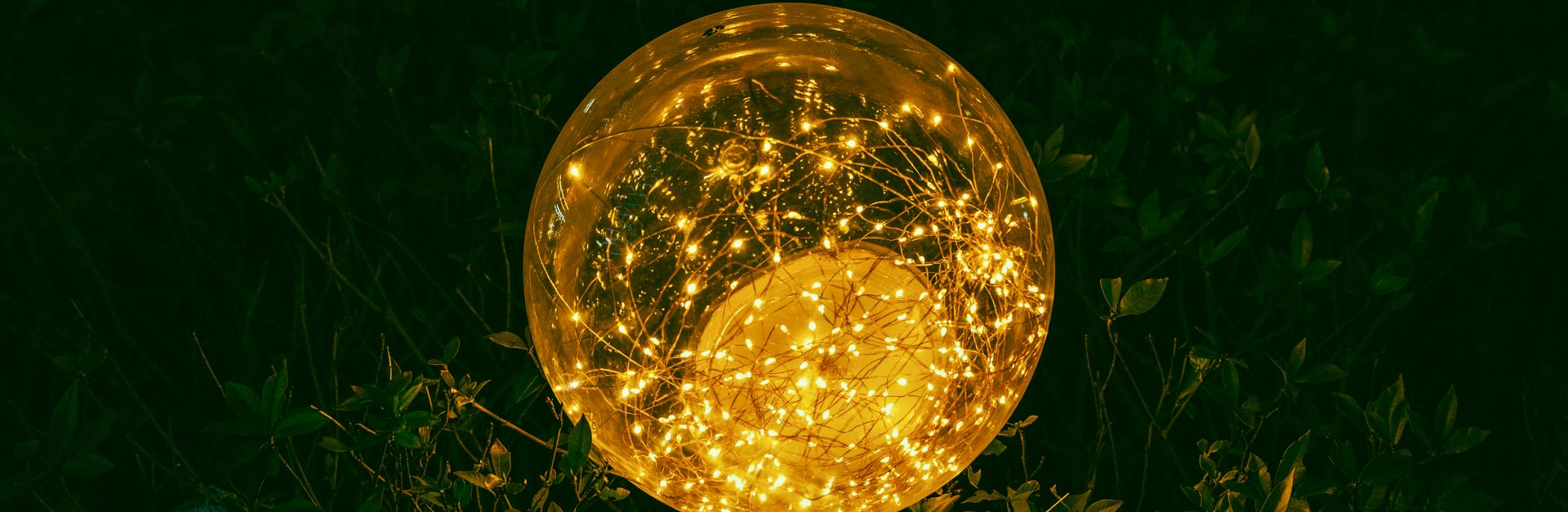 A glowing spherical light interacts with dark green foliage, creating a magical ambiance.