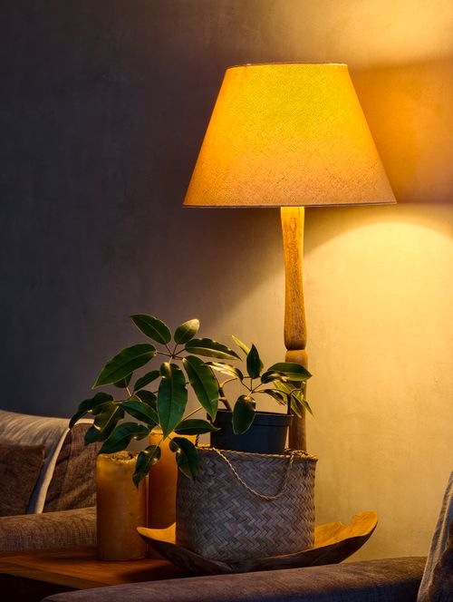 Free Warm and inviting living room setup featuring a glowing lamp and lush green plant, perfect for relaxation. Stock Photo