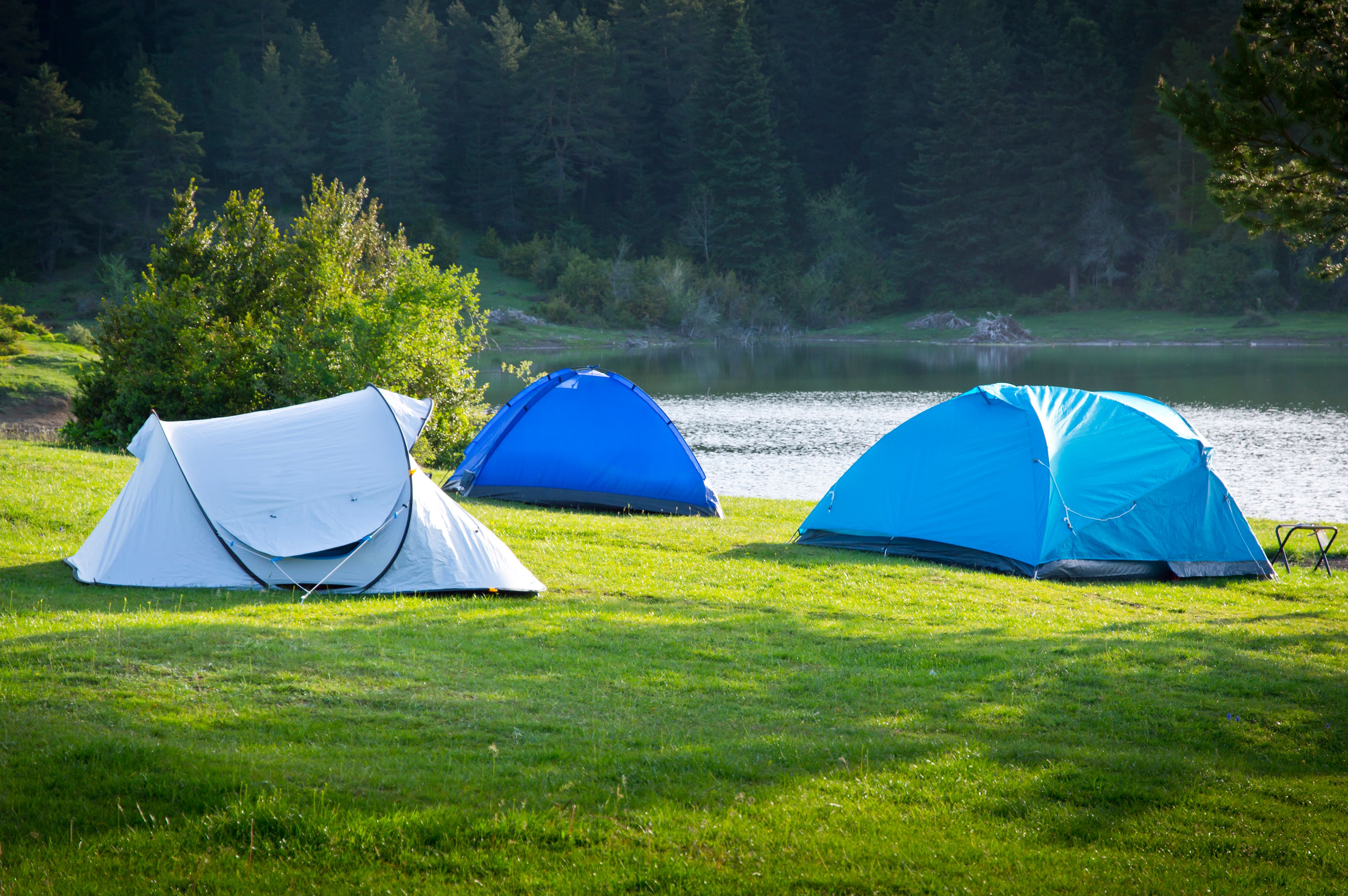 Peaceful Lakeside Camping in Summer Forest · Free Stock Photo