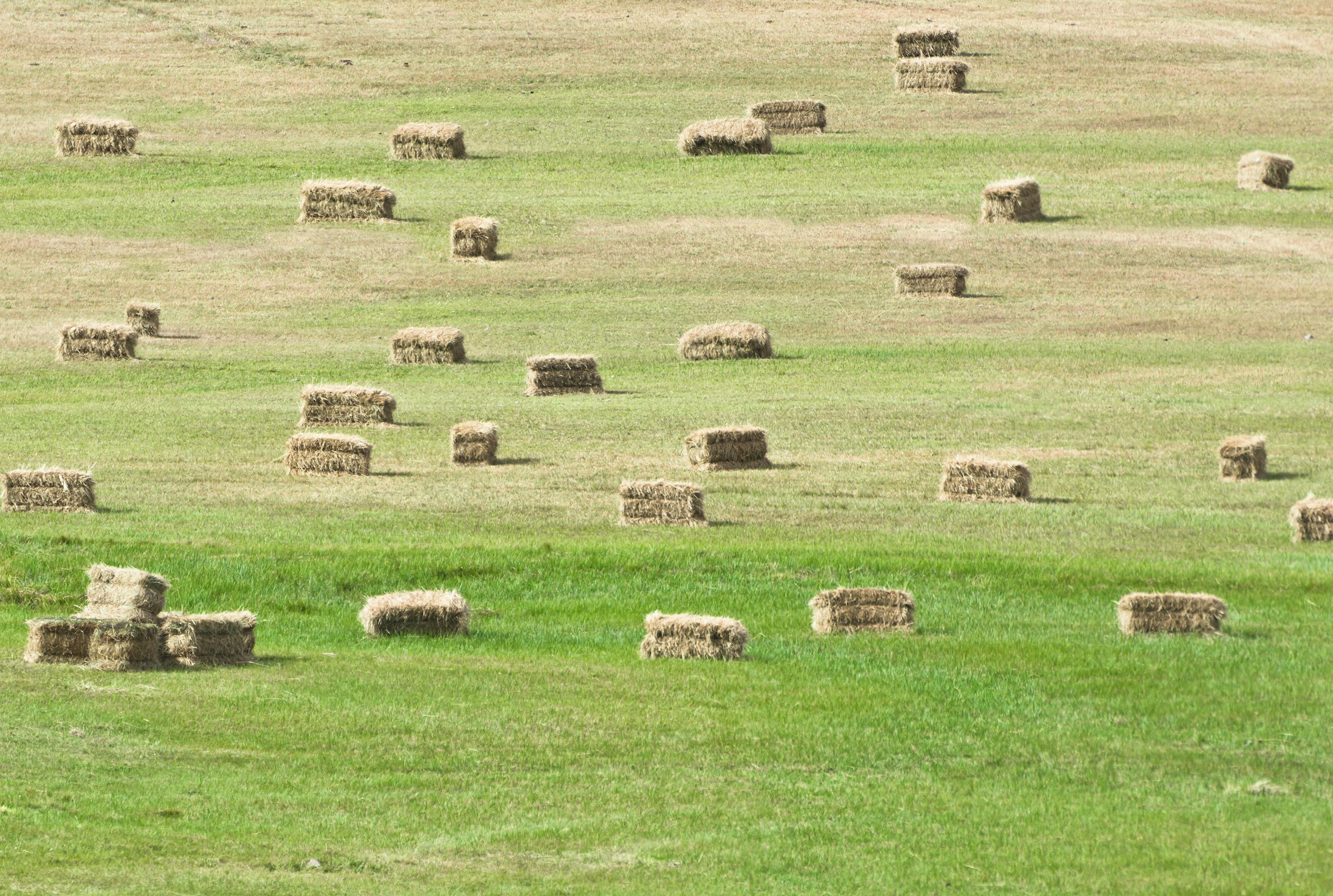 Vue de Bâle sur le Rhin
