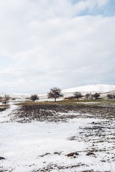 Tranquil winter scene with snow-covered fields and barren trees under a cloudy sky.