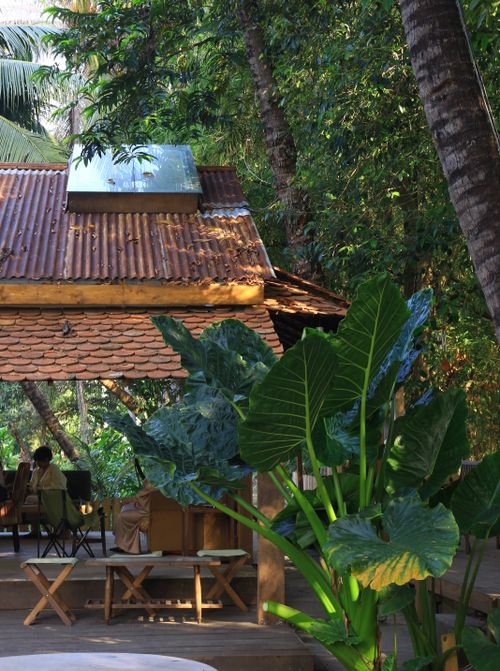 Free Relaxing outdoor cafe surrounded by lush tropical plants in Ho Chi Minh City. Stock Photo