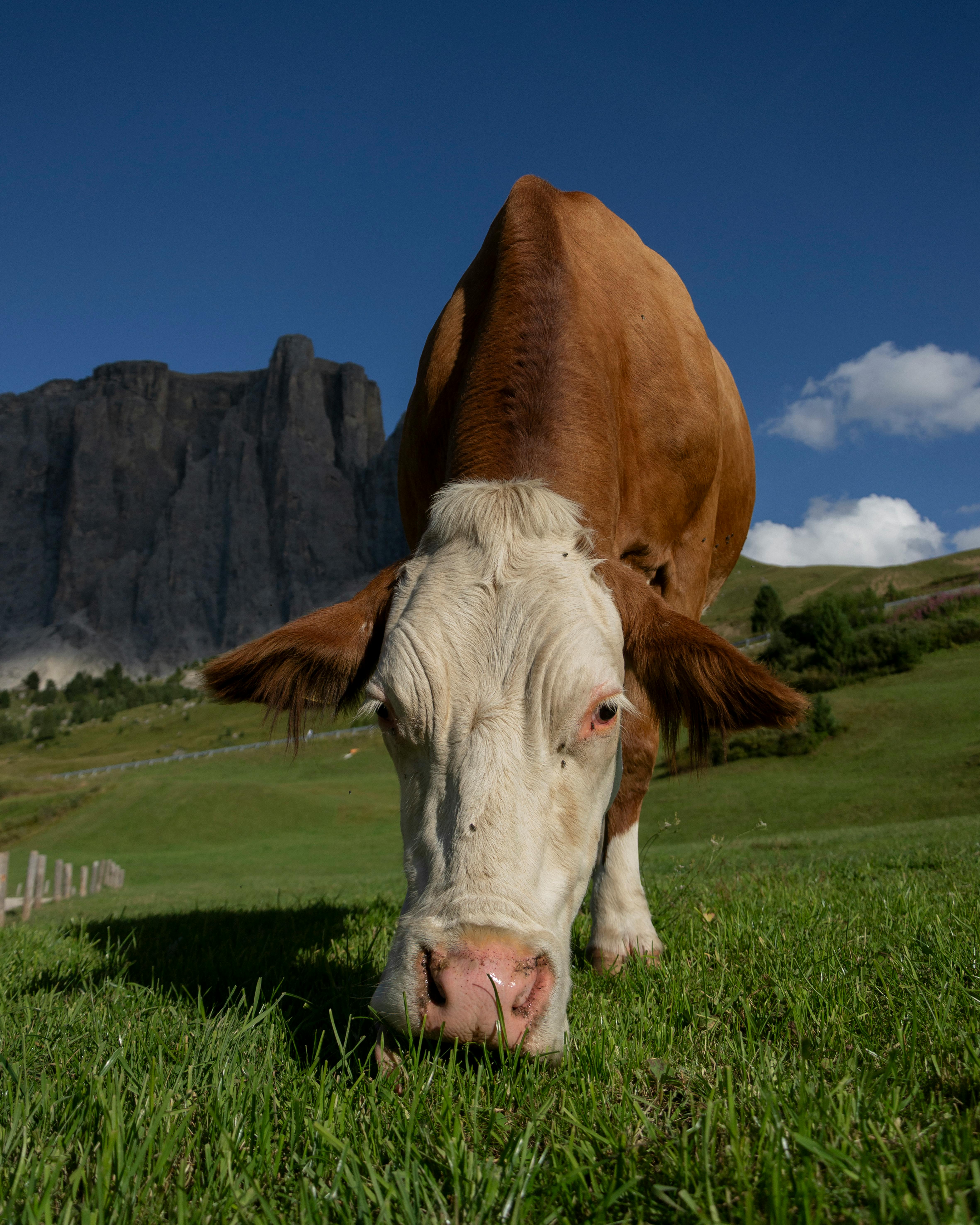 The Pinterest Cash Cow