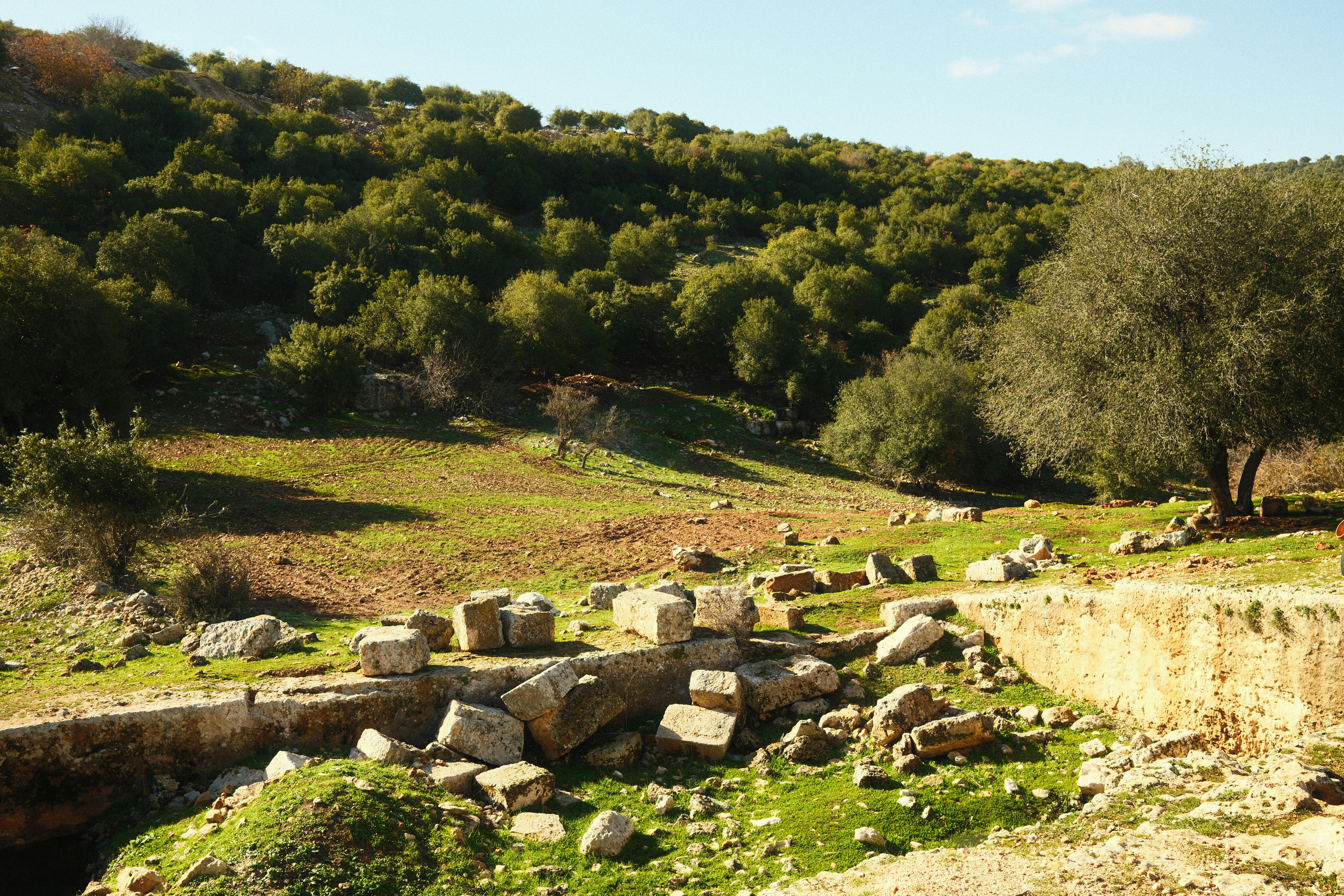 Dîner gastronomique privé