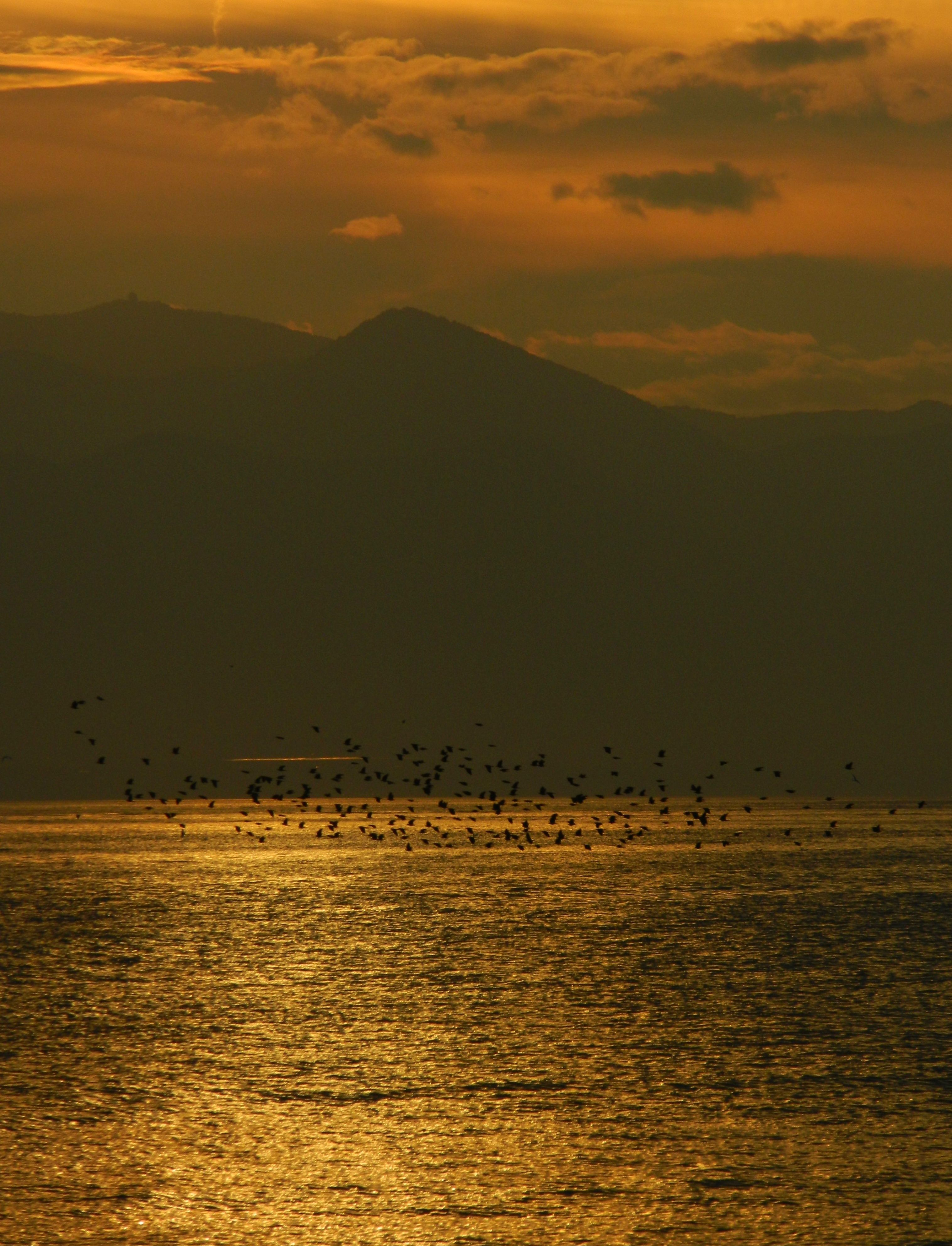 Golden Sunset Over Tranquil Mountain Lake Scene · Free Stock Photo