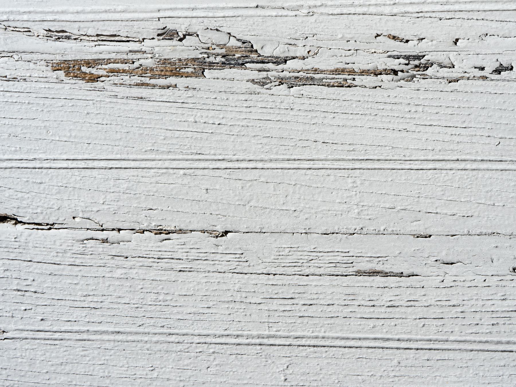 Wallpapering in Parsons Green — walls rolled to an even, flat finish