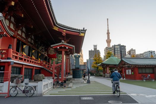 Daikanyama T-Site