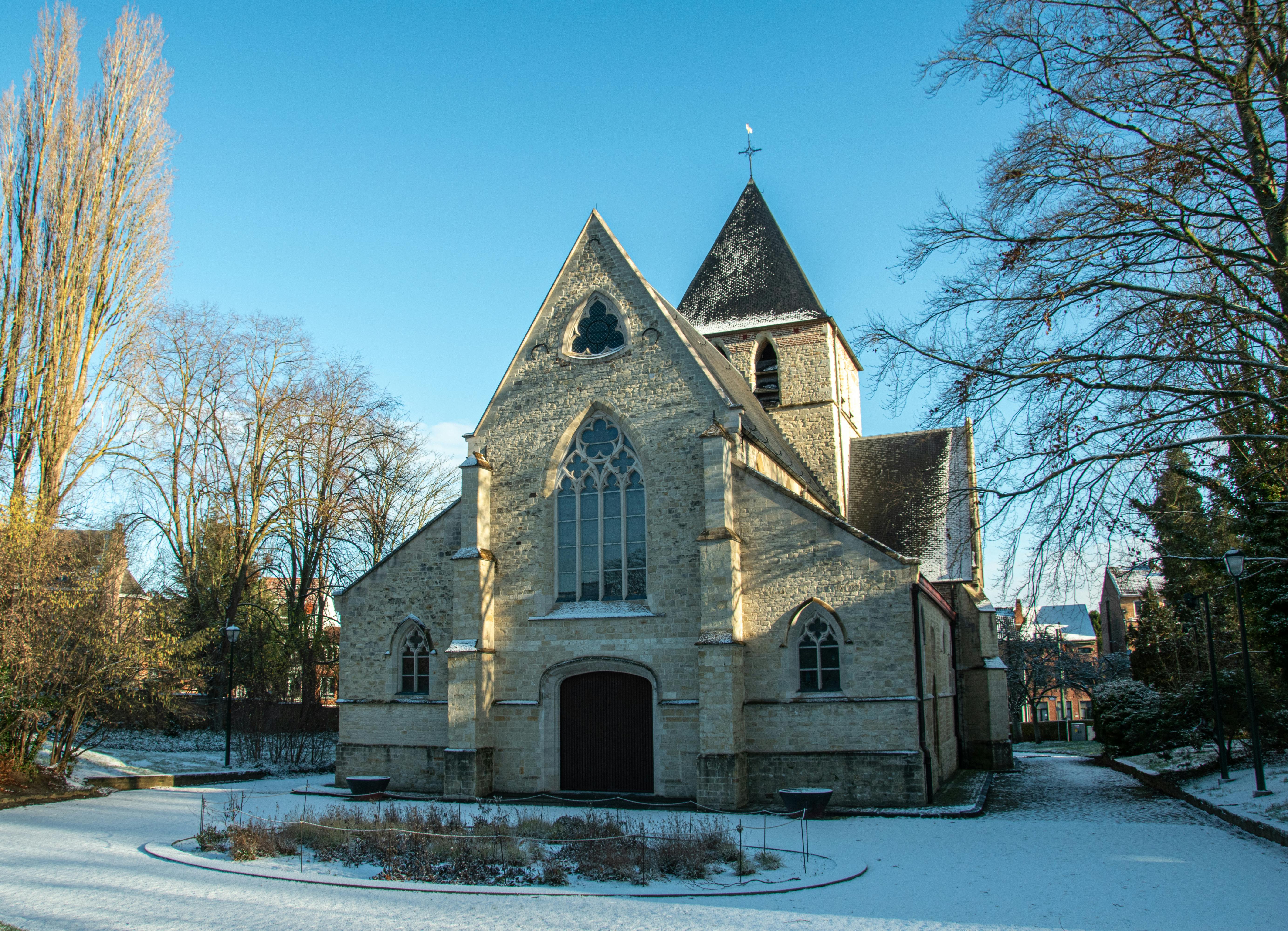 Financial analysis charts on a screen