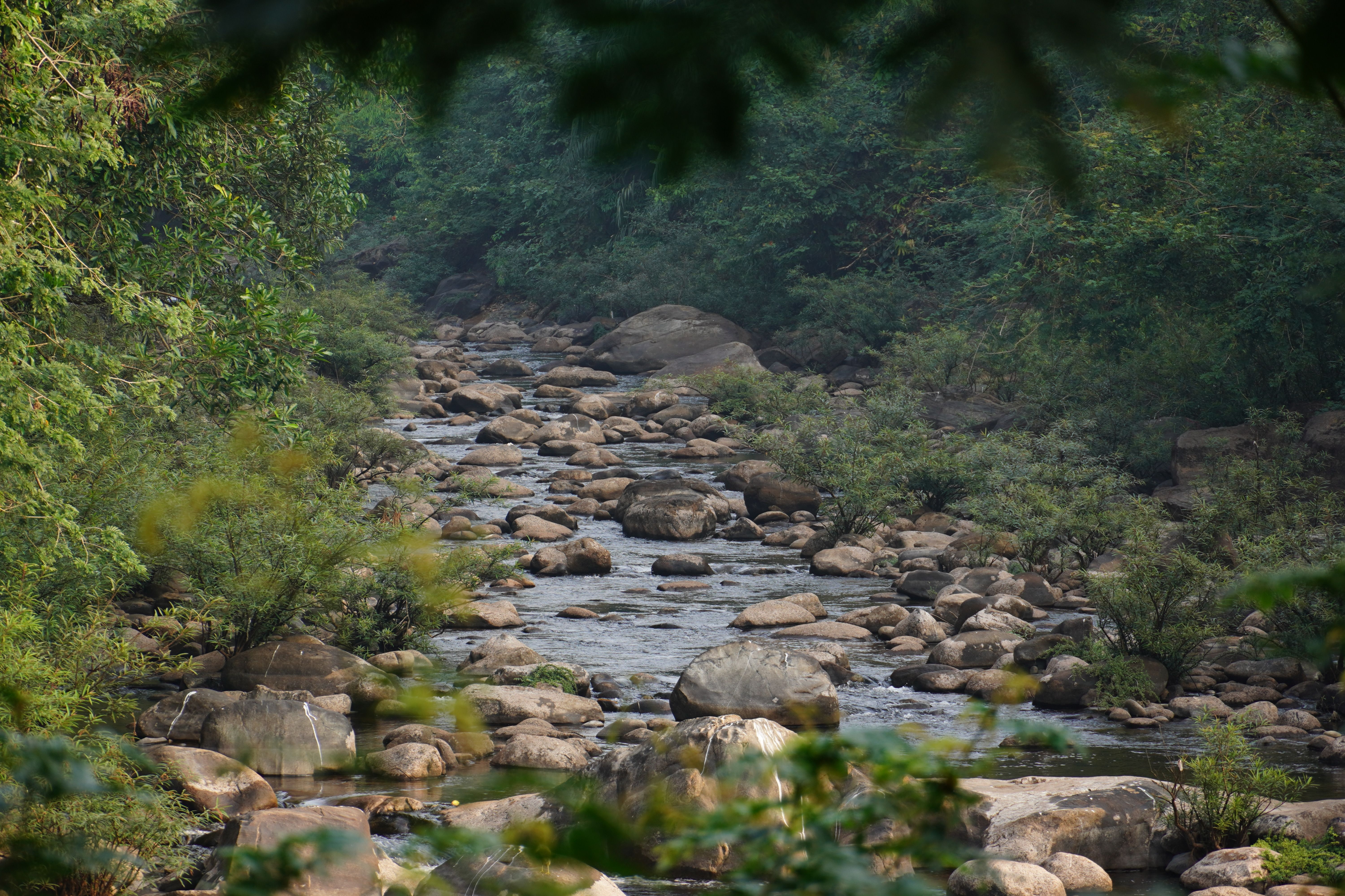 Telangana Formation Day: Assessing the State's River Rejuvenation Journey, Musi River in Focus
