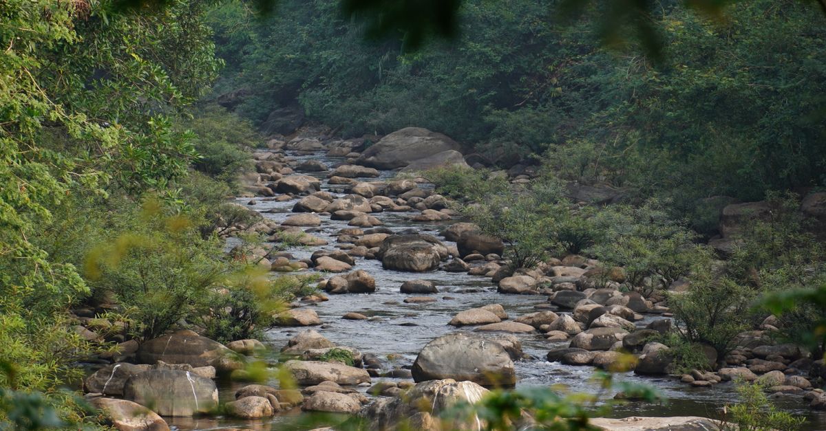 Telangana Formation Day: Assessing the State's River Rejuvenation Journey, Musi River in Focus