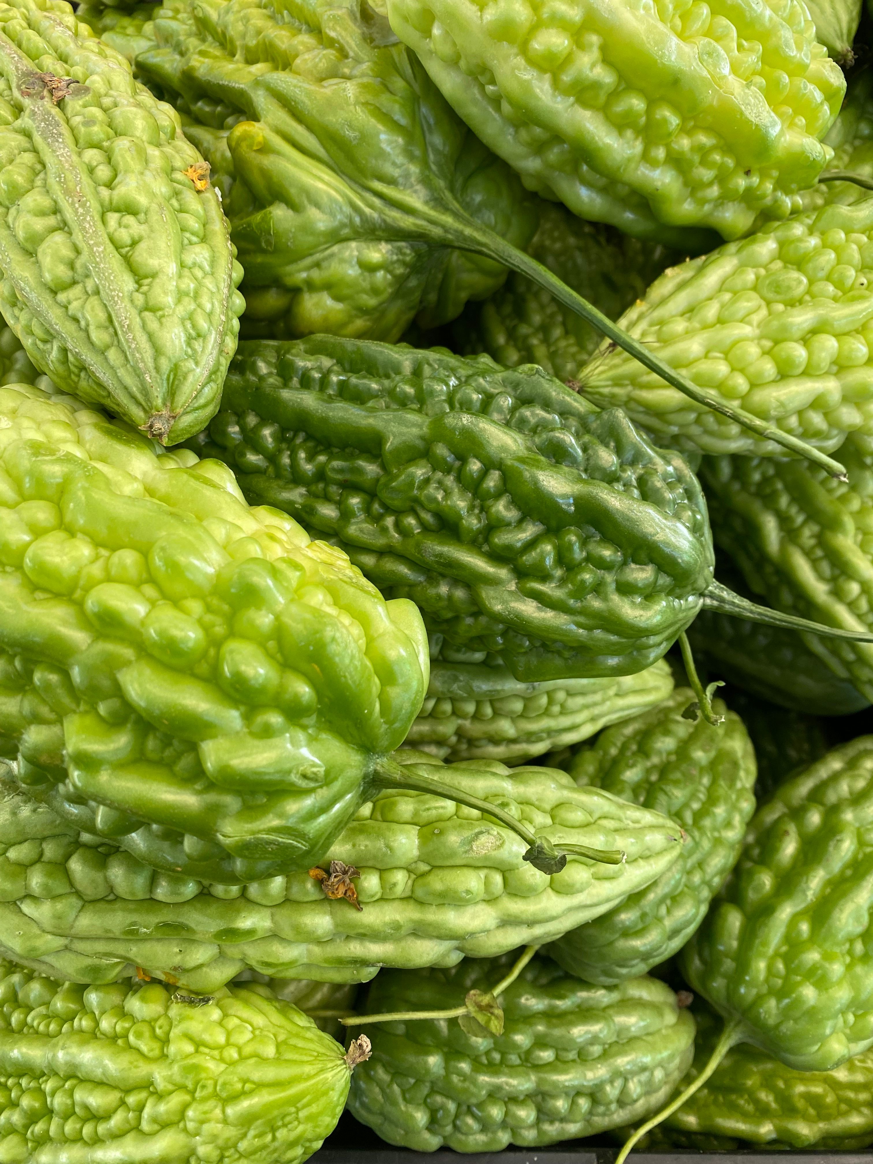 Bitter melon