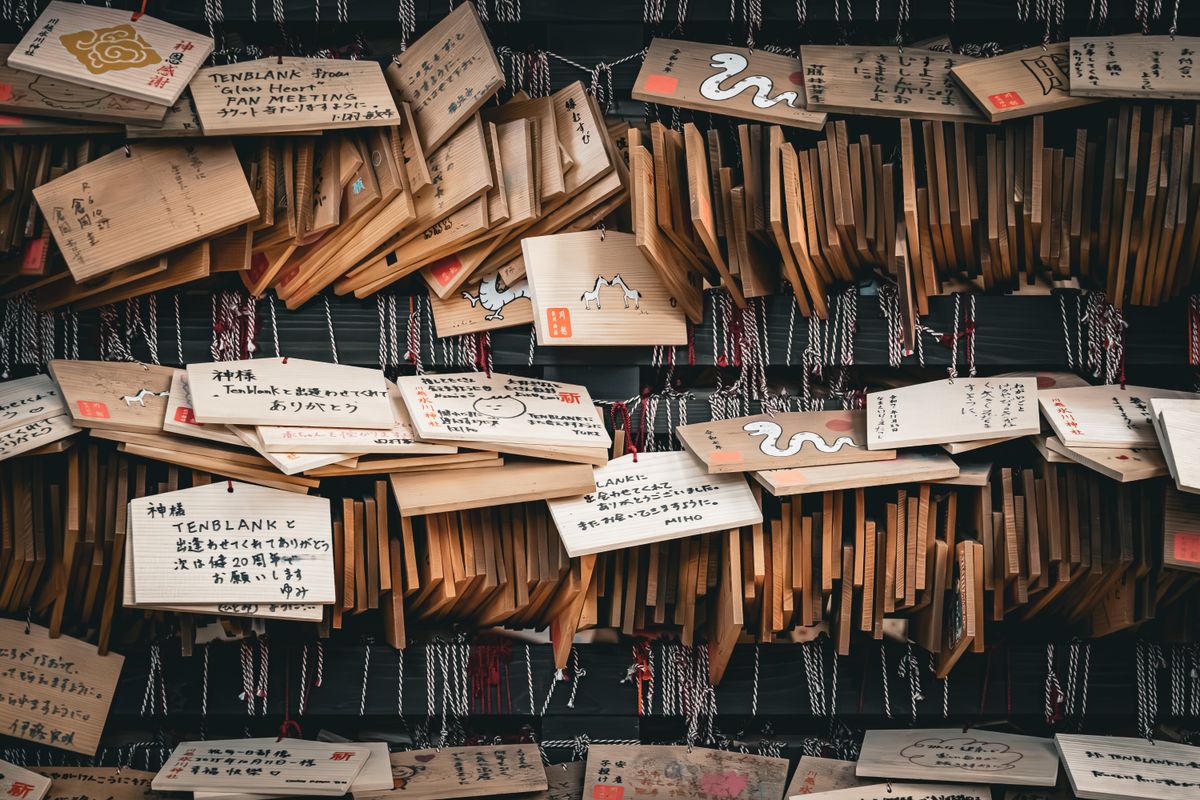 packing service in Rigside — Packing Service in Rigside — the working end of the job