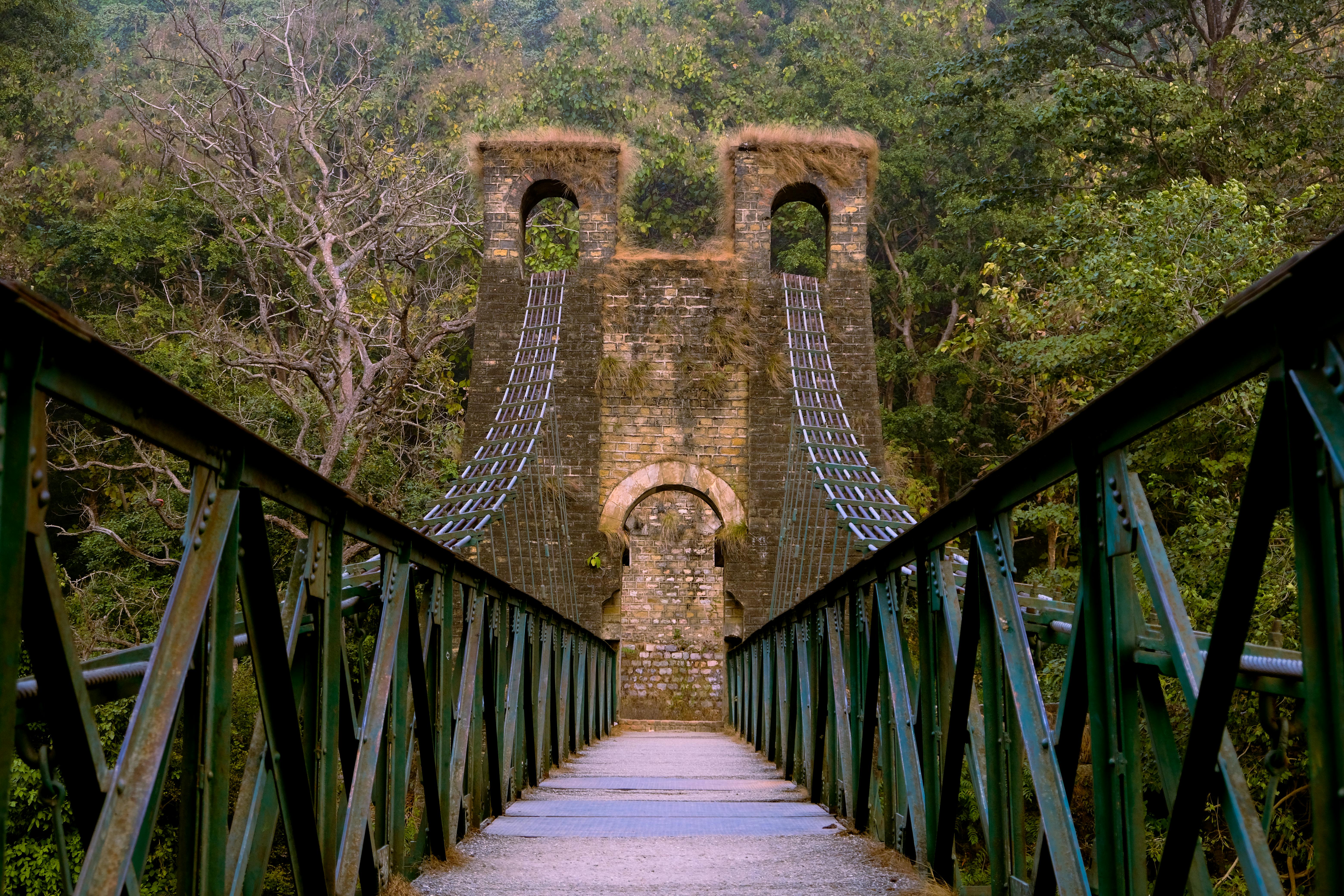 Exploring the Fragrant Legacy of Forgotten Civilizations