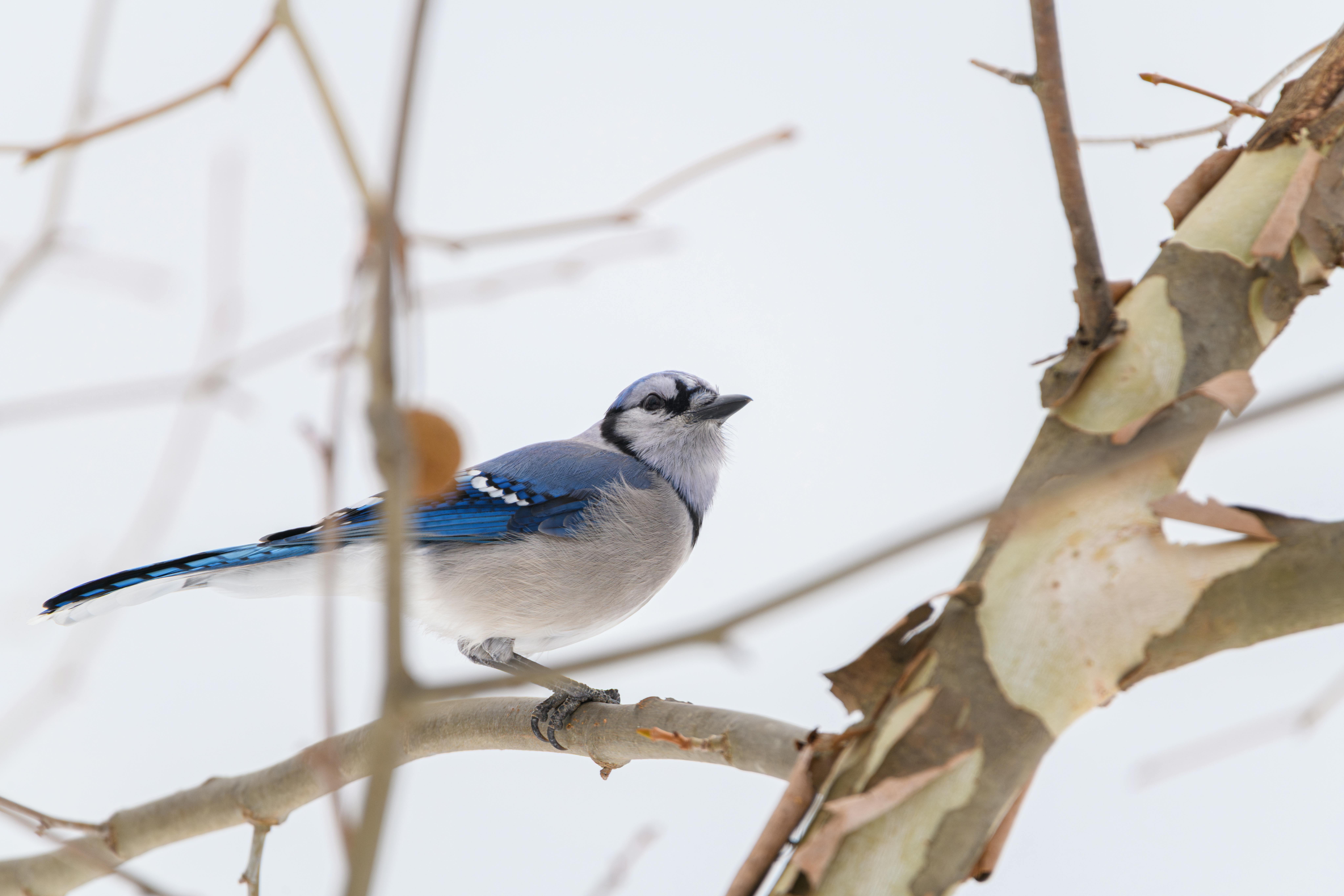 MP Materials獲國防部協議 股價飆升8.8%引發市場關注