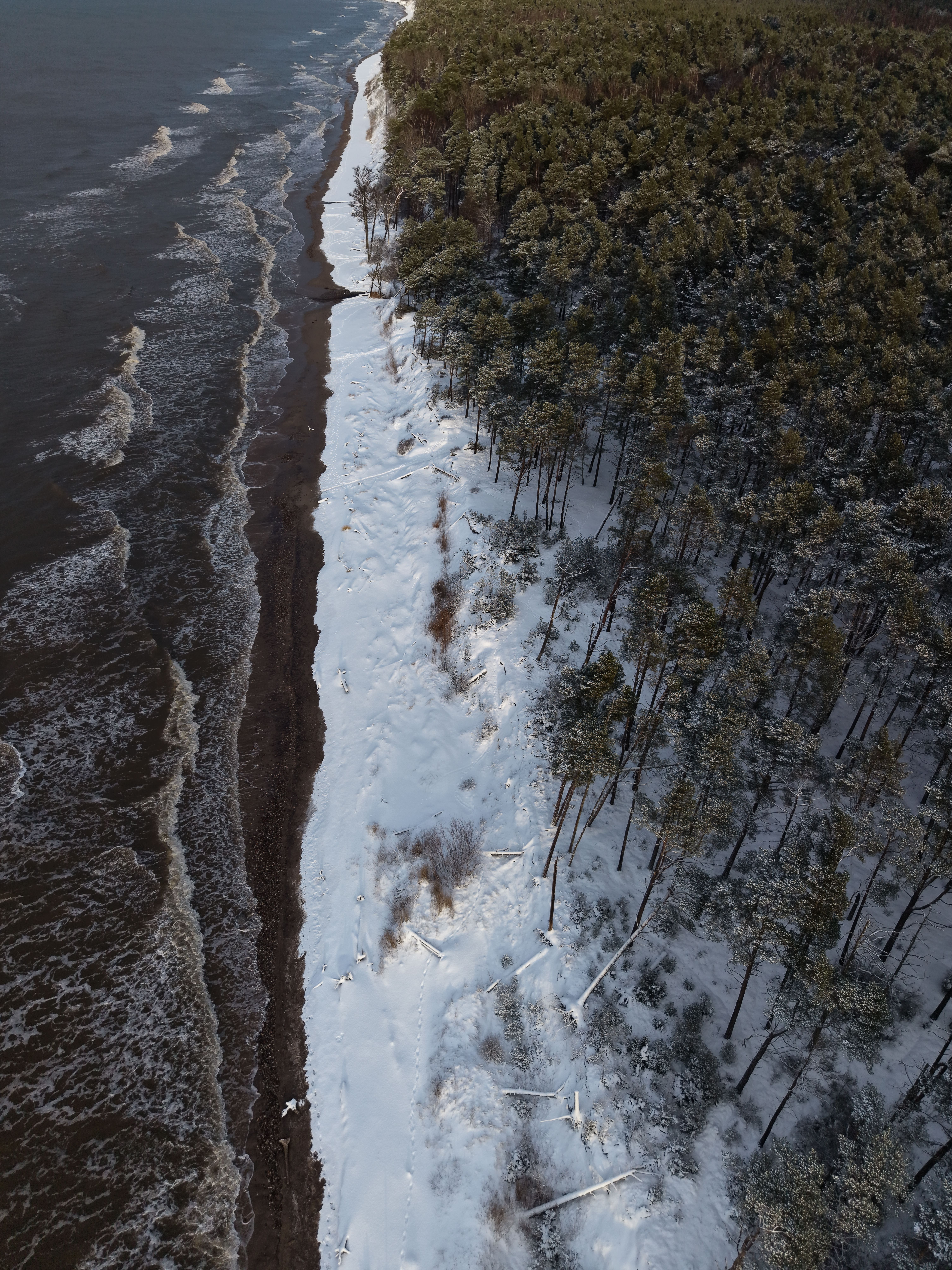 Aerial View of Snowy Forest and Beach in Winter · Free Stock Photo