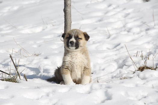 Calendario corsi ed eventi