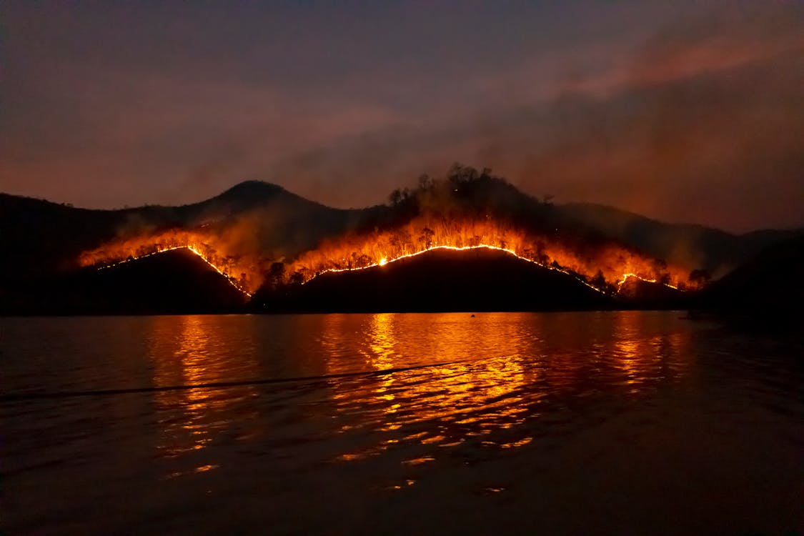 Free Photo of Wildfire on Mountain Stock Photo