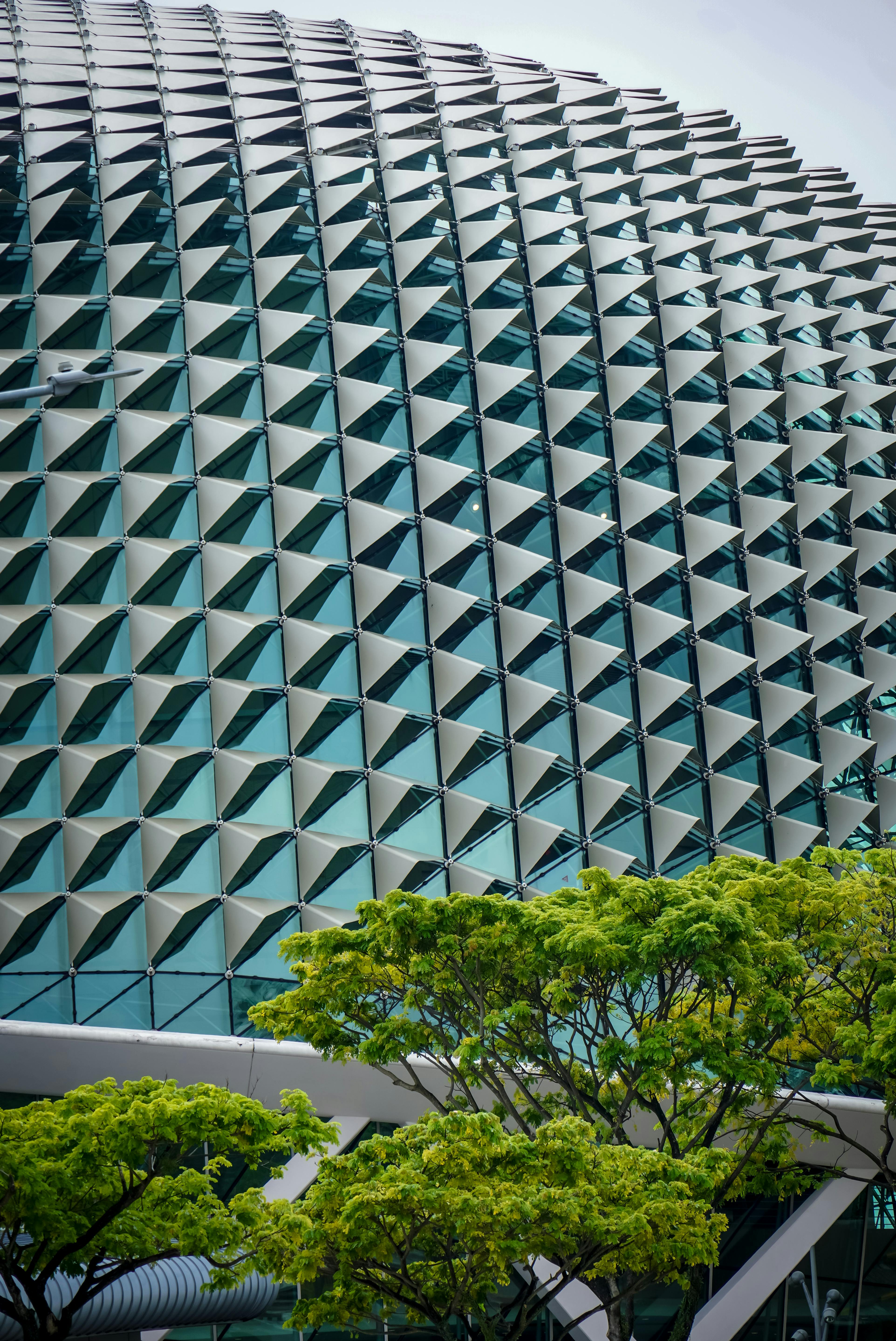Ücretsiz Singapur'daki ikonik Esplanade Tiyatroları'nın sivri cephesinin, yemyeşil ağaçlarla çerçevelenmiş detaylı görünümü. Stok Fotoğraflar