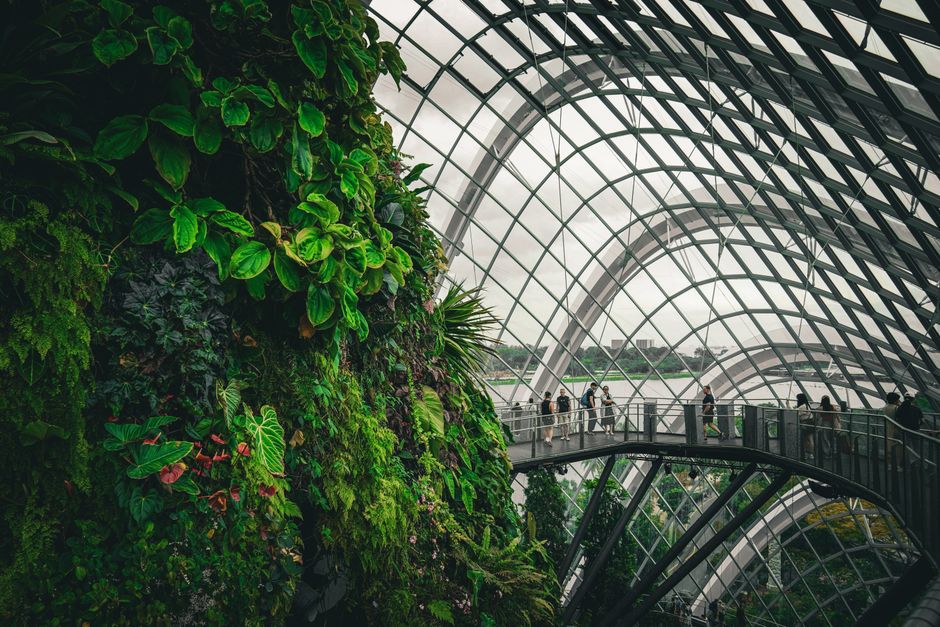 Vibrant tropical plants inside Singapore's iconic glass conservatory.
