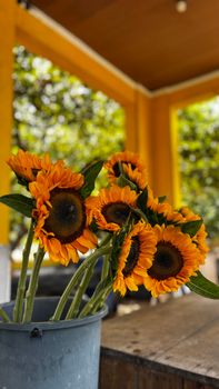A rustic bucket of vibrant sunflowers in an outdoor setting with warm tones.