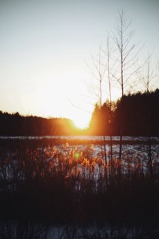 Winter sunset over a snowy field and forest, creating a warm glow.