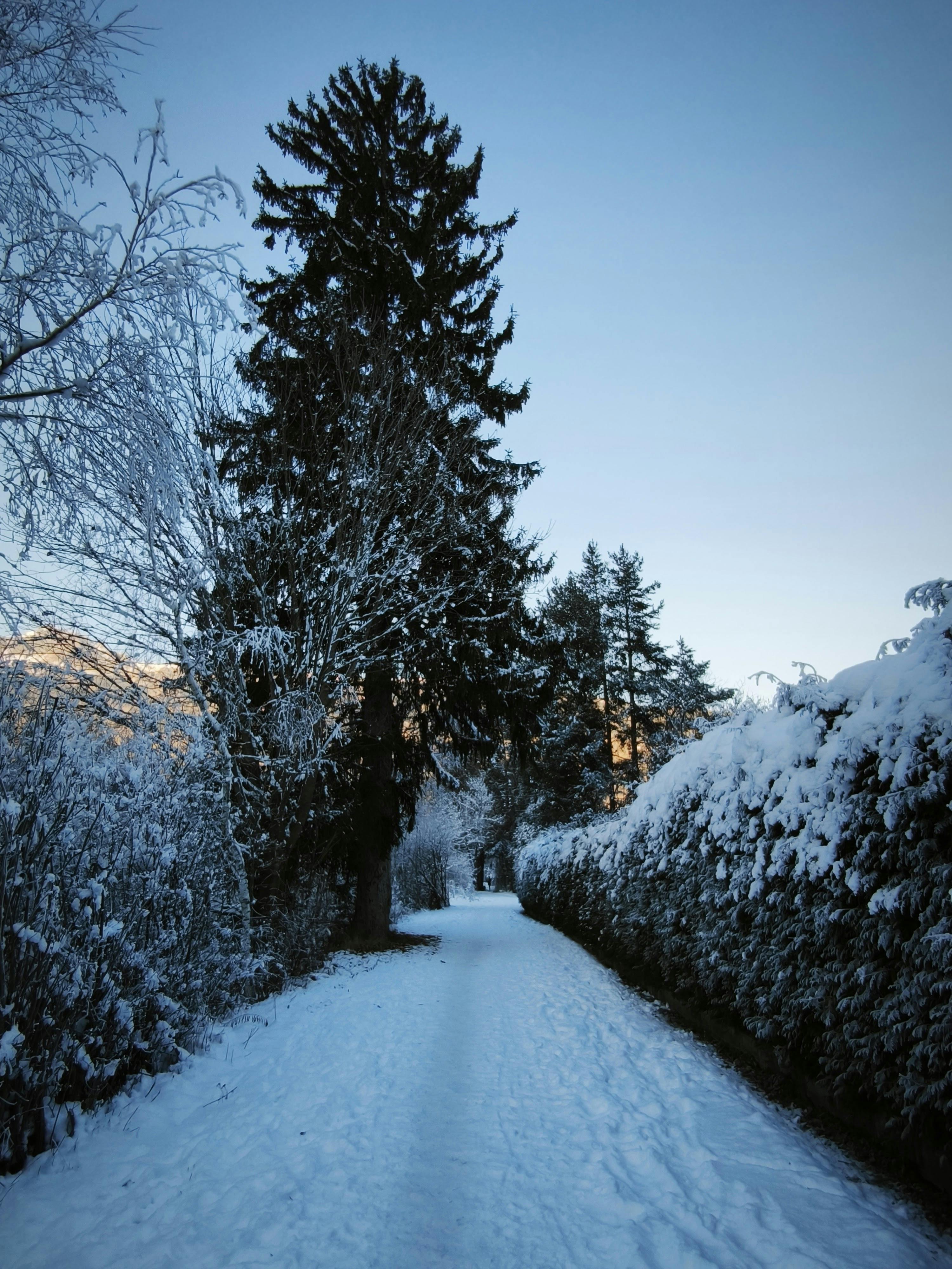 Google Adsense A To Z