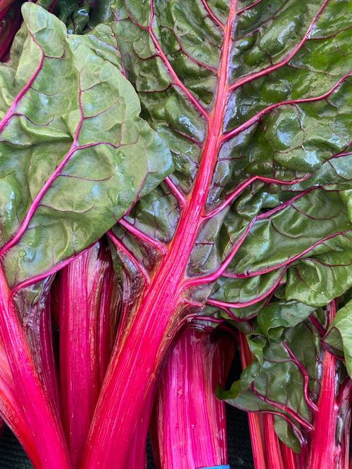 Free Close-up of vibrant rainbow chard with red stems and green leaves, perfect for healthy cooking. Stock Photo