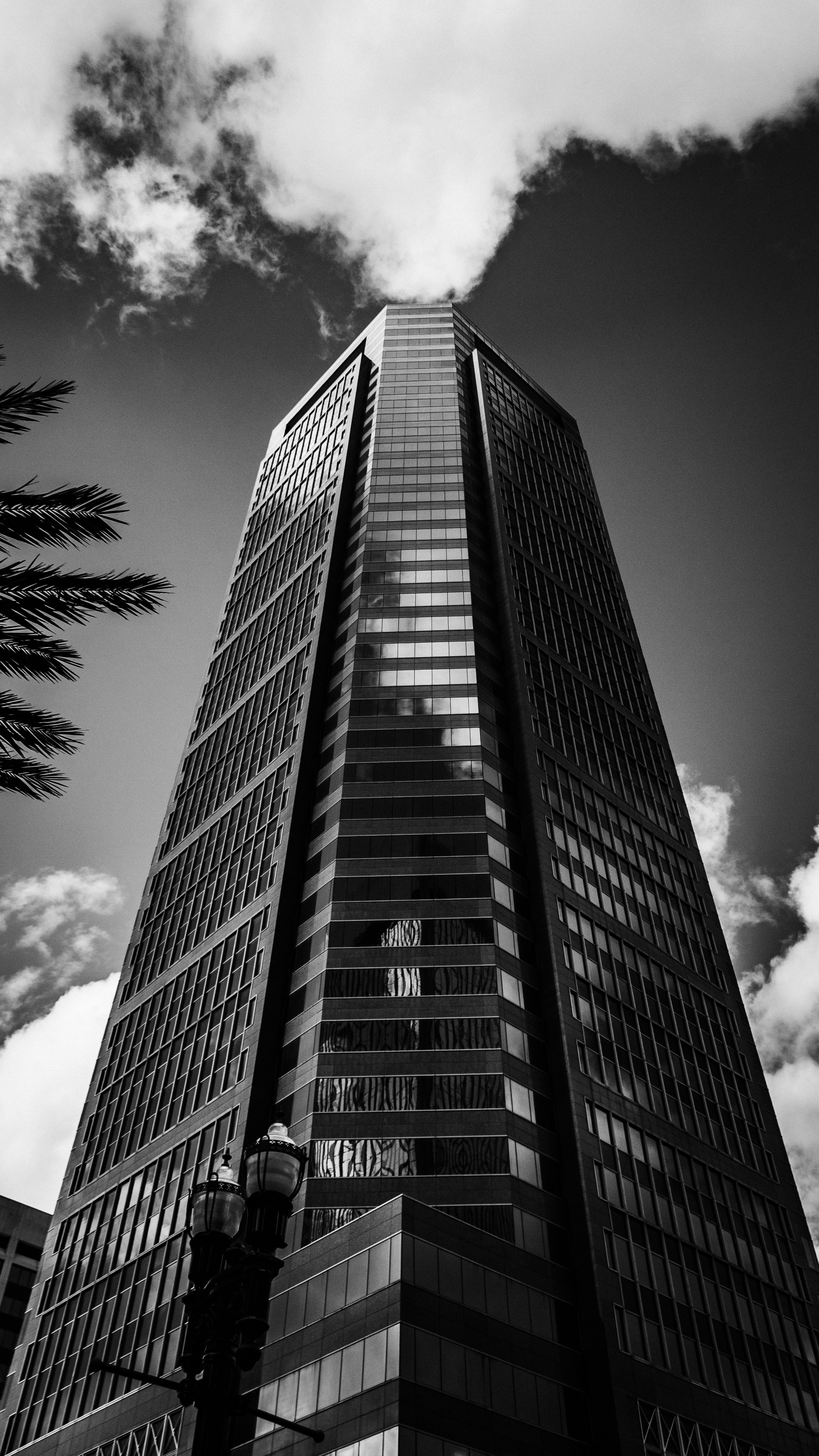 Dramatic Black and White Skyscraper Architecture · Free Stock Photo