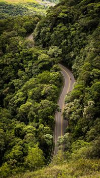Estrada da Graciosa: Uma das Estradas Mais Bonitas do Brasil - imagem 2