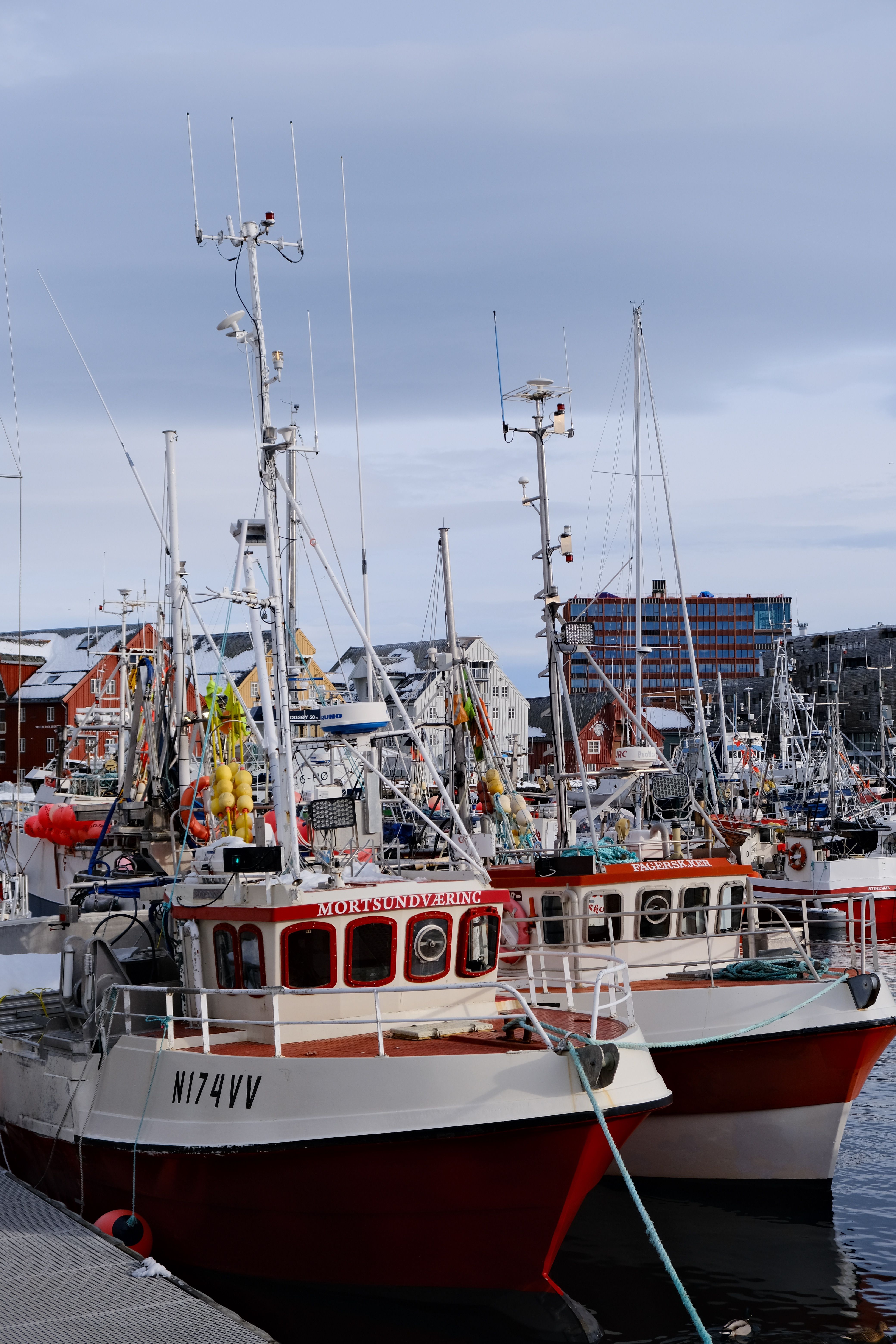 Colorful Fishing Boats Docked in Coastal Harbor · Free Stock Photo