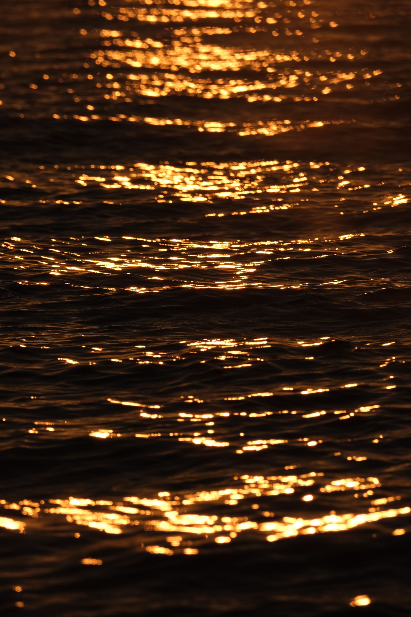 Golden Sunset Reflection on Water · Free Stock Photo