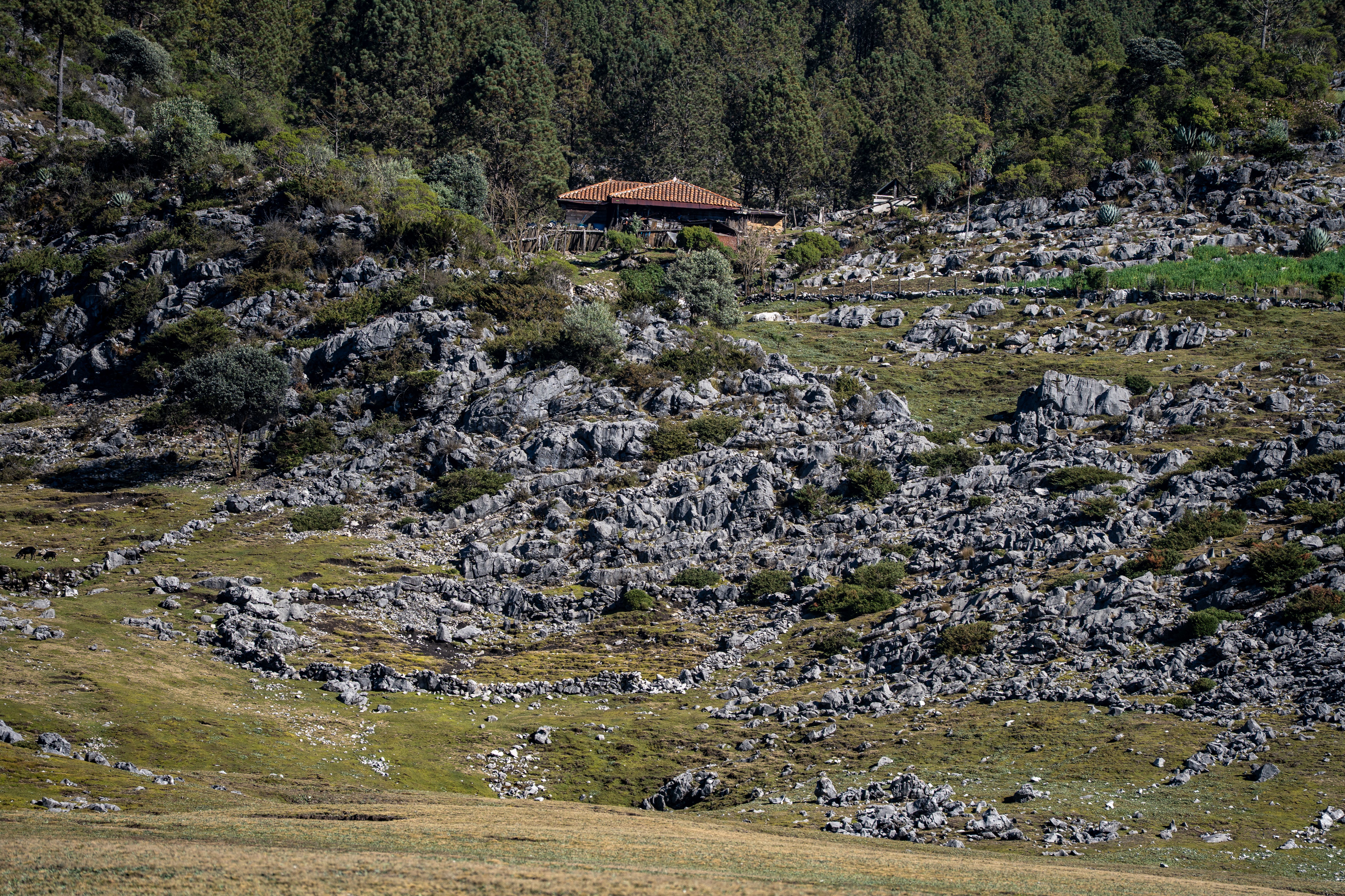 Visita técnica hidrogeológica en Cáceres