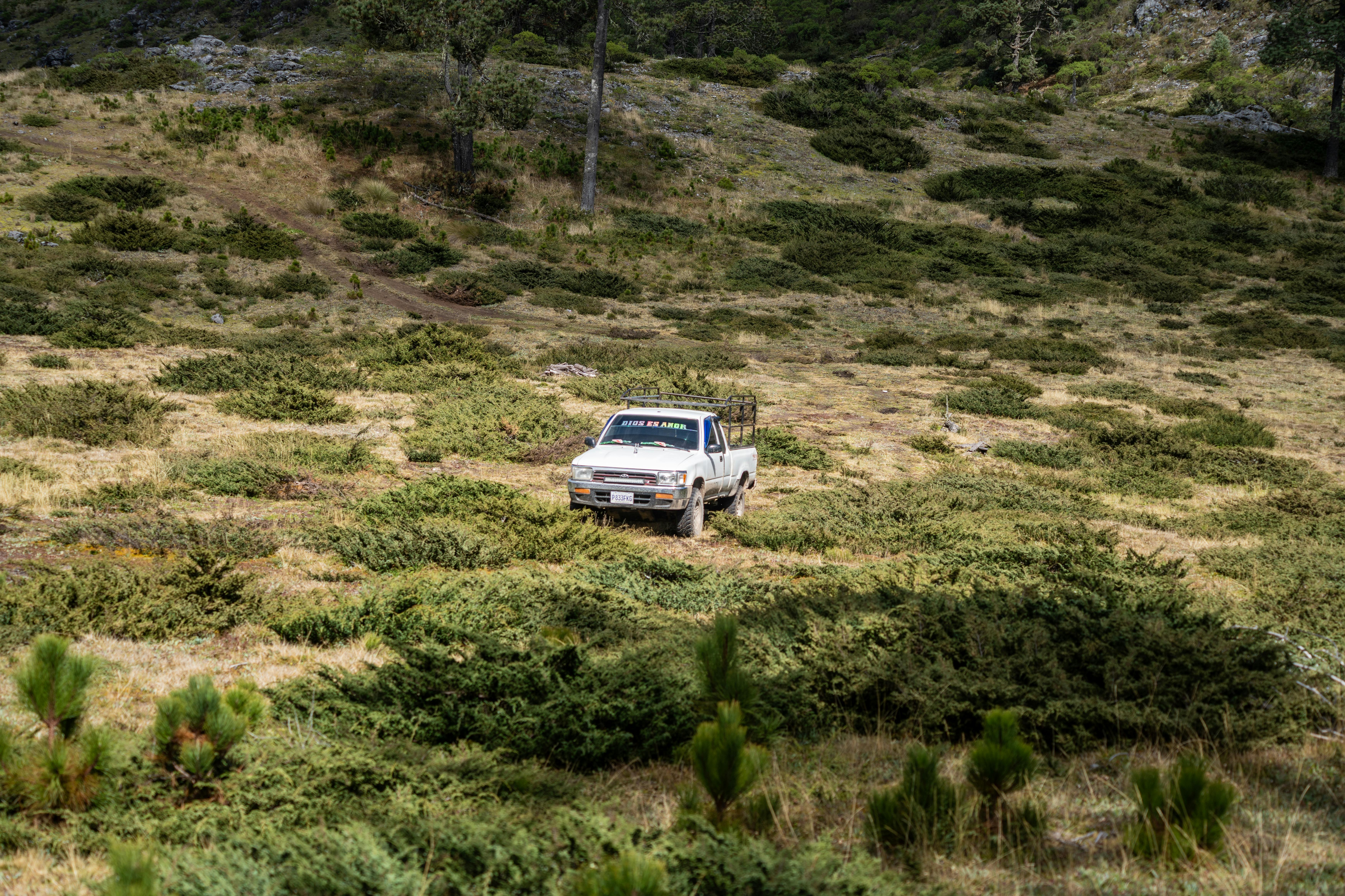 Toyota recalls 550,000 vehicles over seat defect — Photo by Diego Girón on Pexels